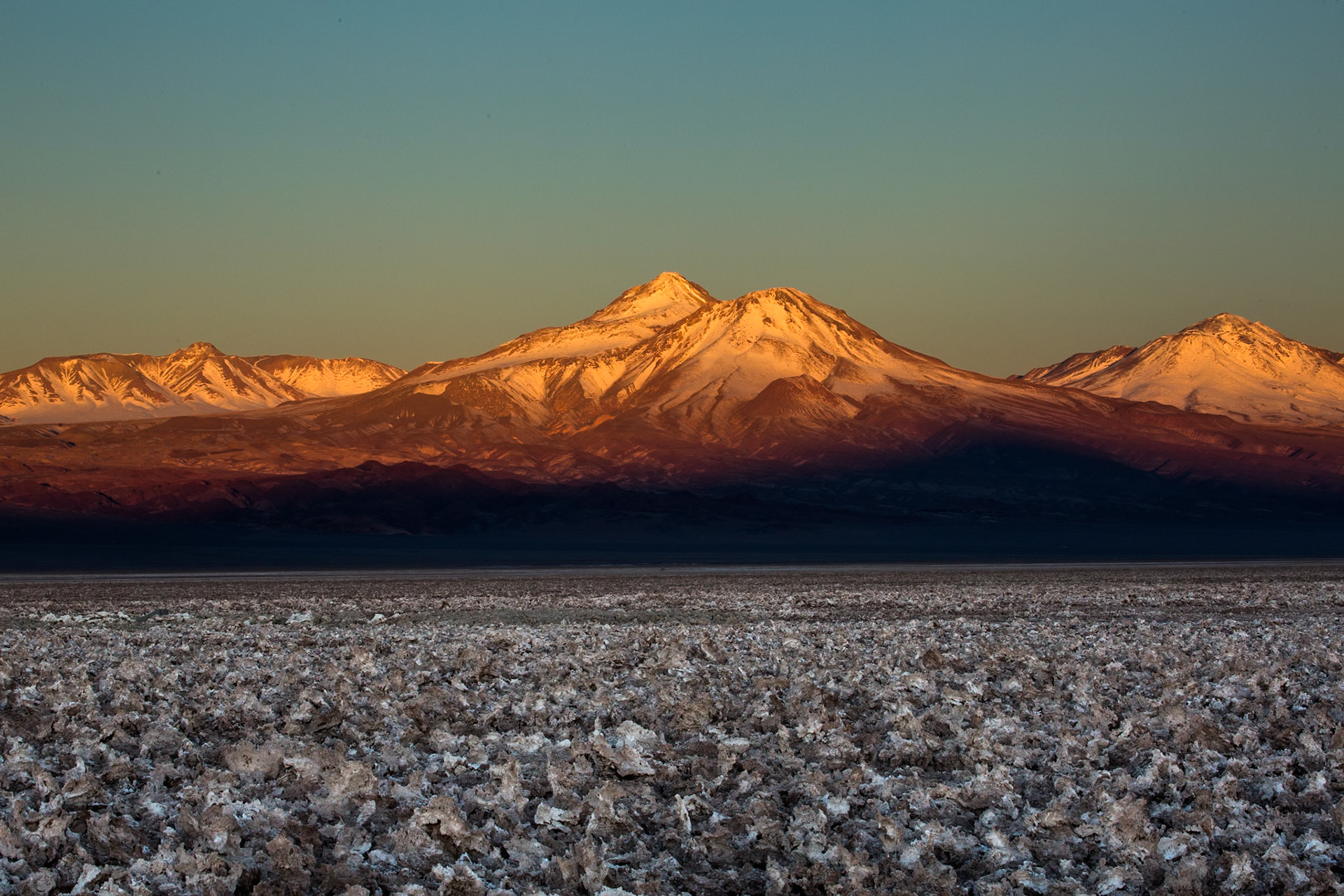 Salar de Atacama, Chaxa lagoon, Atacama, Chile