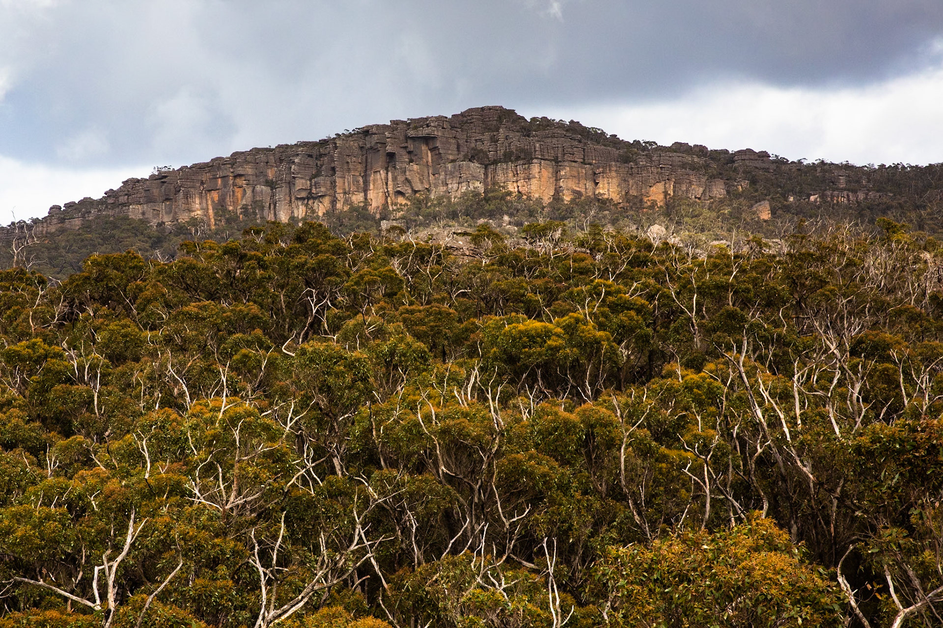Mt Rosea circuit, Hall's Gap, The Grampians, Victoria