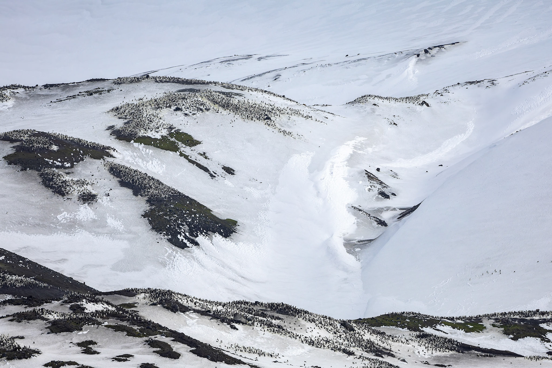 Landscape, Whaler's Bay, Deception Island