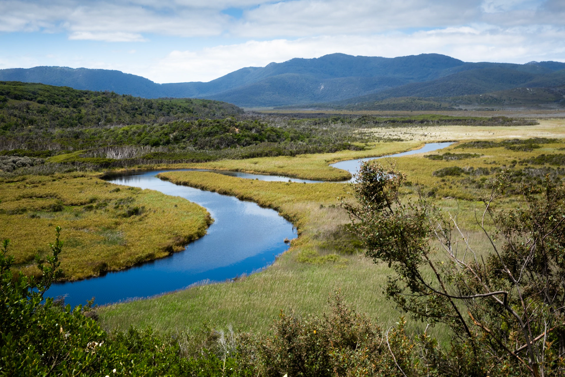 Tuesday am - Darby Saddle via Sparkes Lookout and Lookout Rocks to Tongue Point; and then on to Darby River for lunch.Tuesday pm - Lilly Pilly Gully carpark up to Tidal Overlook and on to Pillar Point then via Squeaky Beach and Picnic Beach to Picnic Beach carpark.