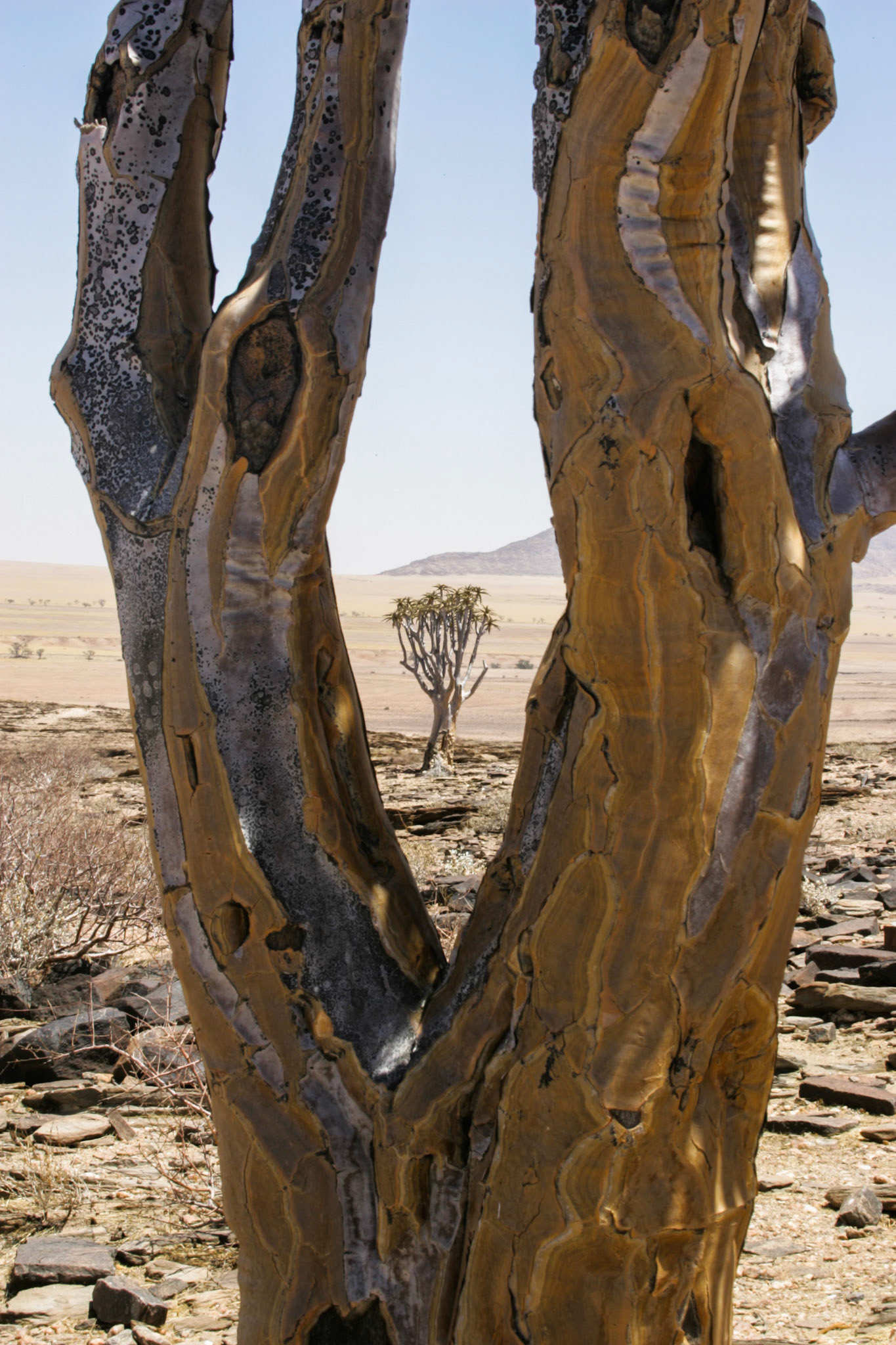 Sesriem to Sandwich harbour, Namibia