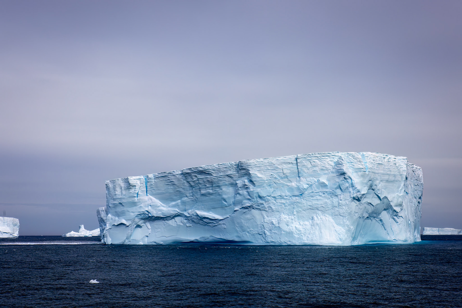 Cooper's Bay, South Georgia