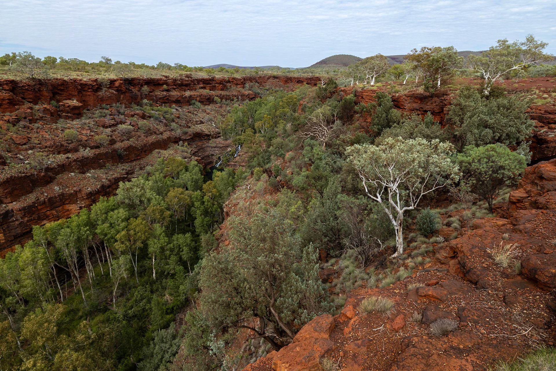 Fern Pool, Dale's Gorge, Karijini National Park, Western Australia