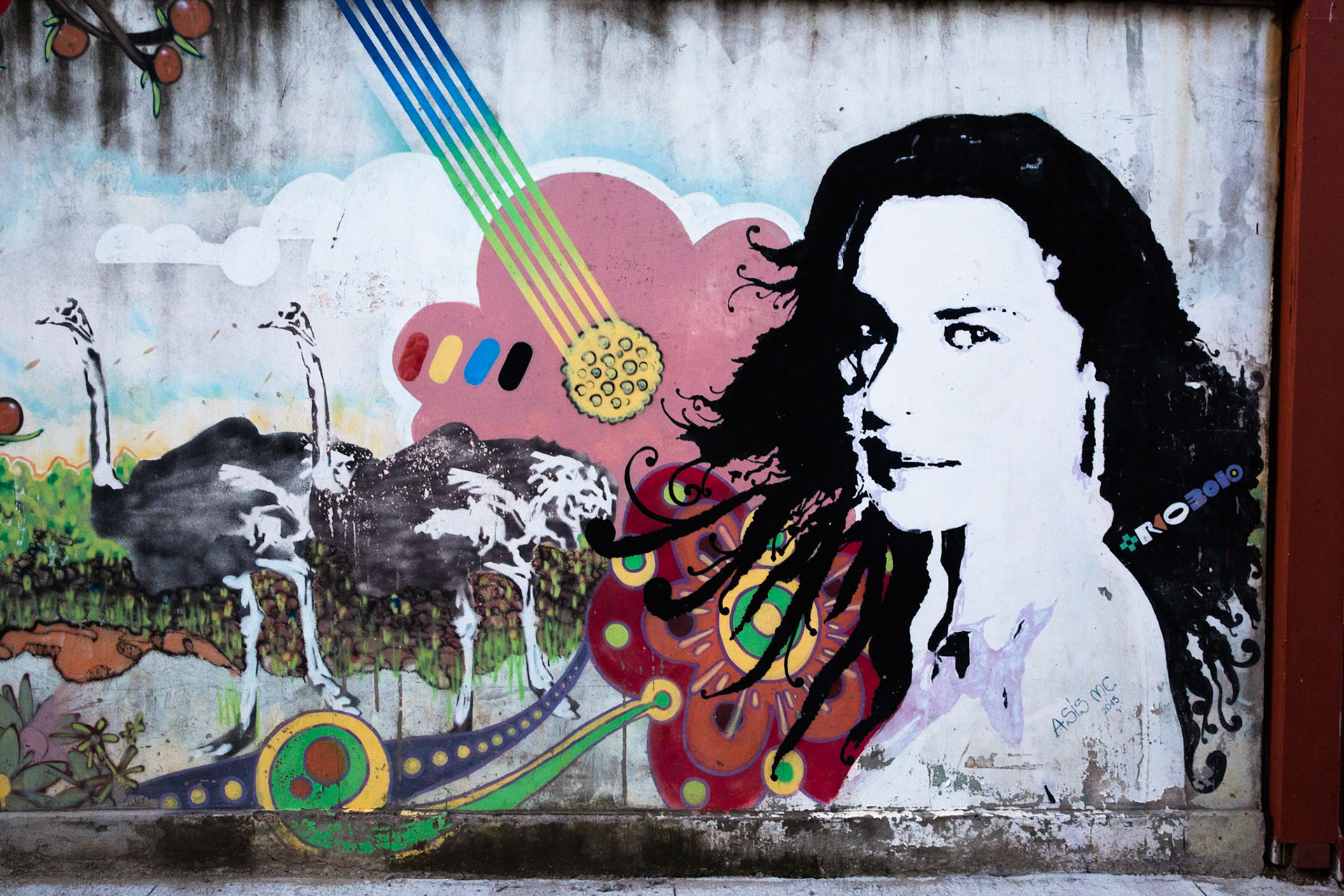 Street art, Valparaiso, Chile