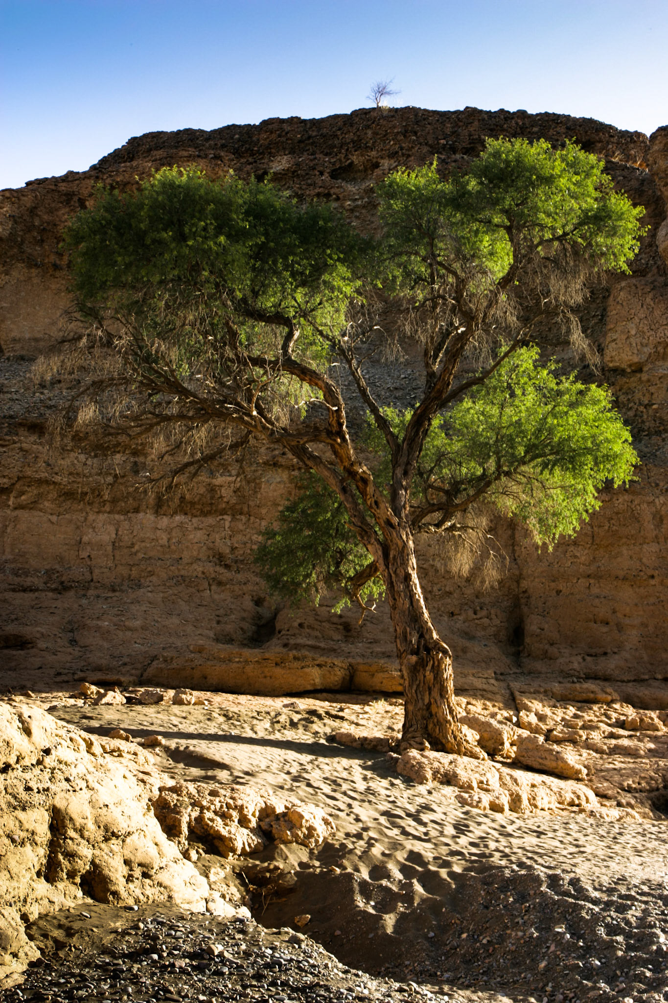 Sesriem to Sandwich harbour, Namibia