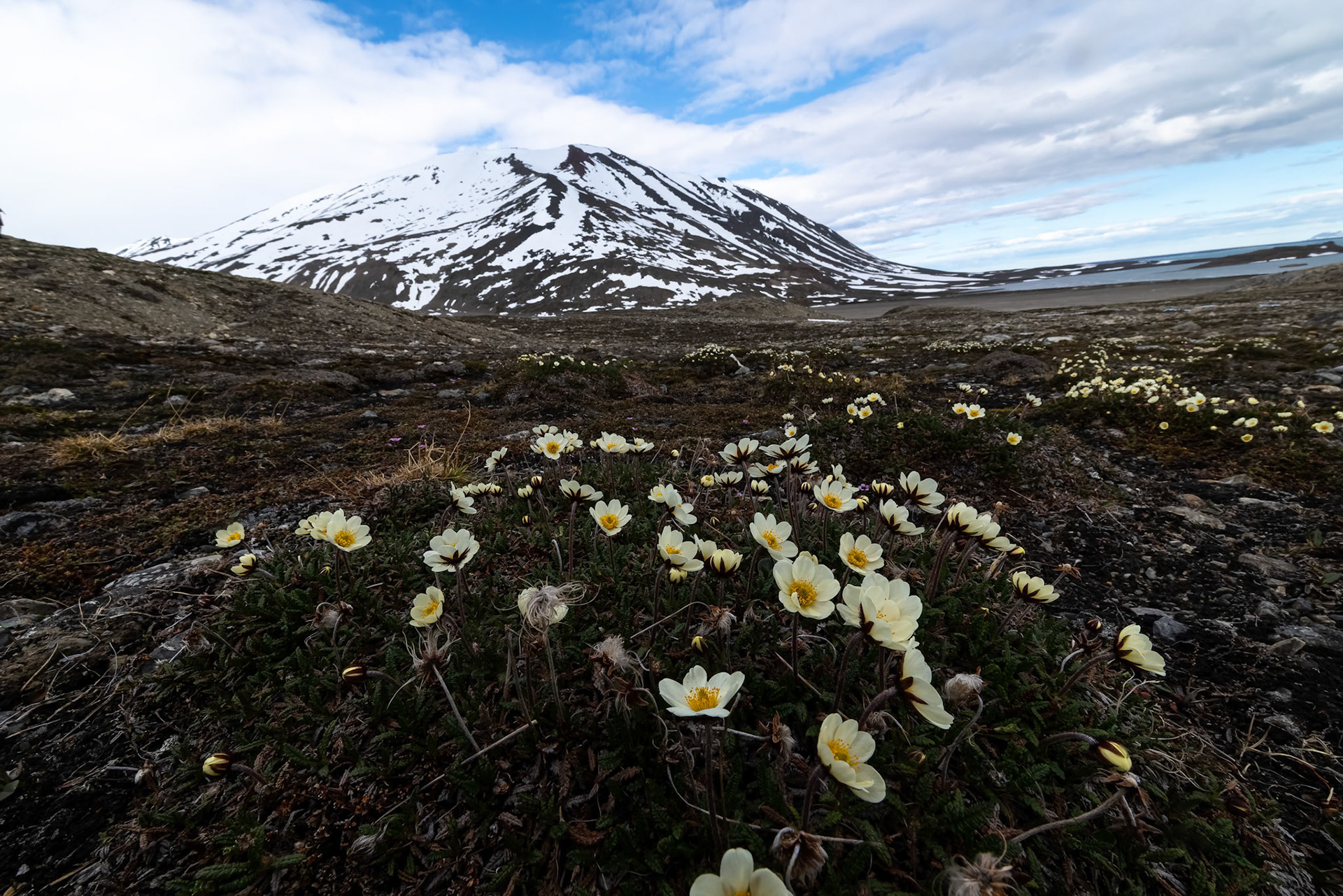 Landscape, Texas Bar, Svalbard, Norway