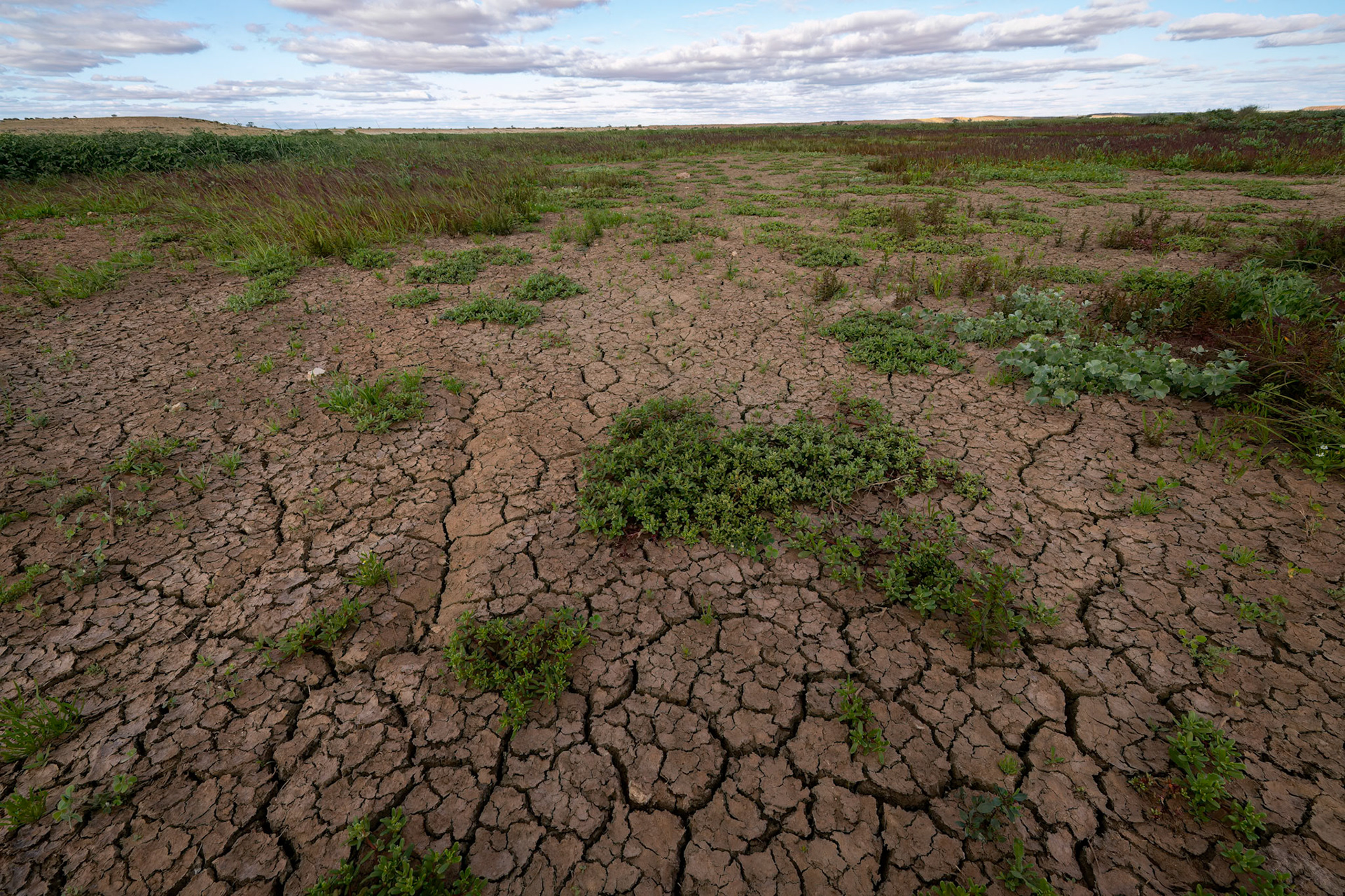Landscape, Birdsville, Queensland, Australia