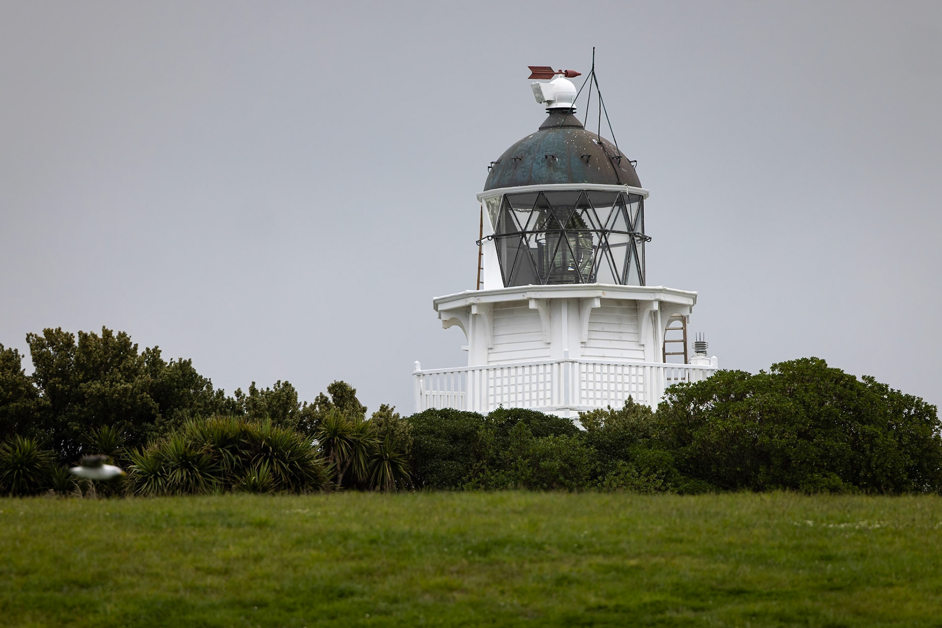 Oamaru lighthouse, New Zealand