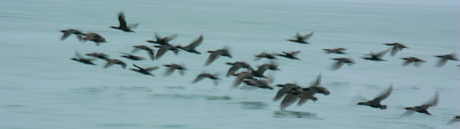Sesriem to Sandwich harbour, Namibia