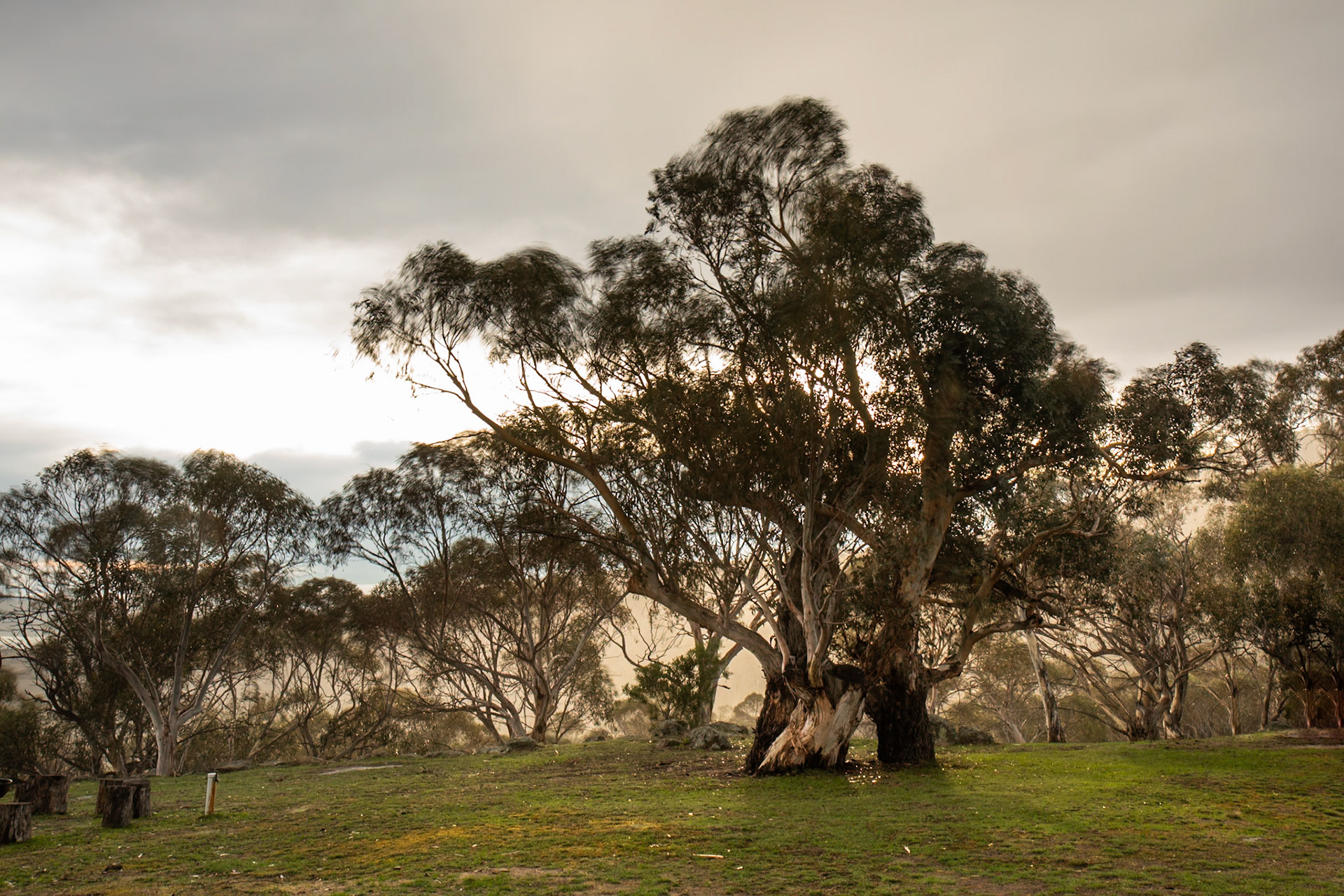 Mount Kosciuszko National Park, Snowy Mountains, New South Wales