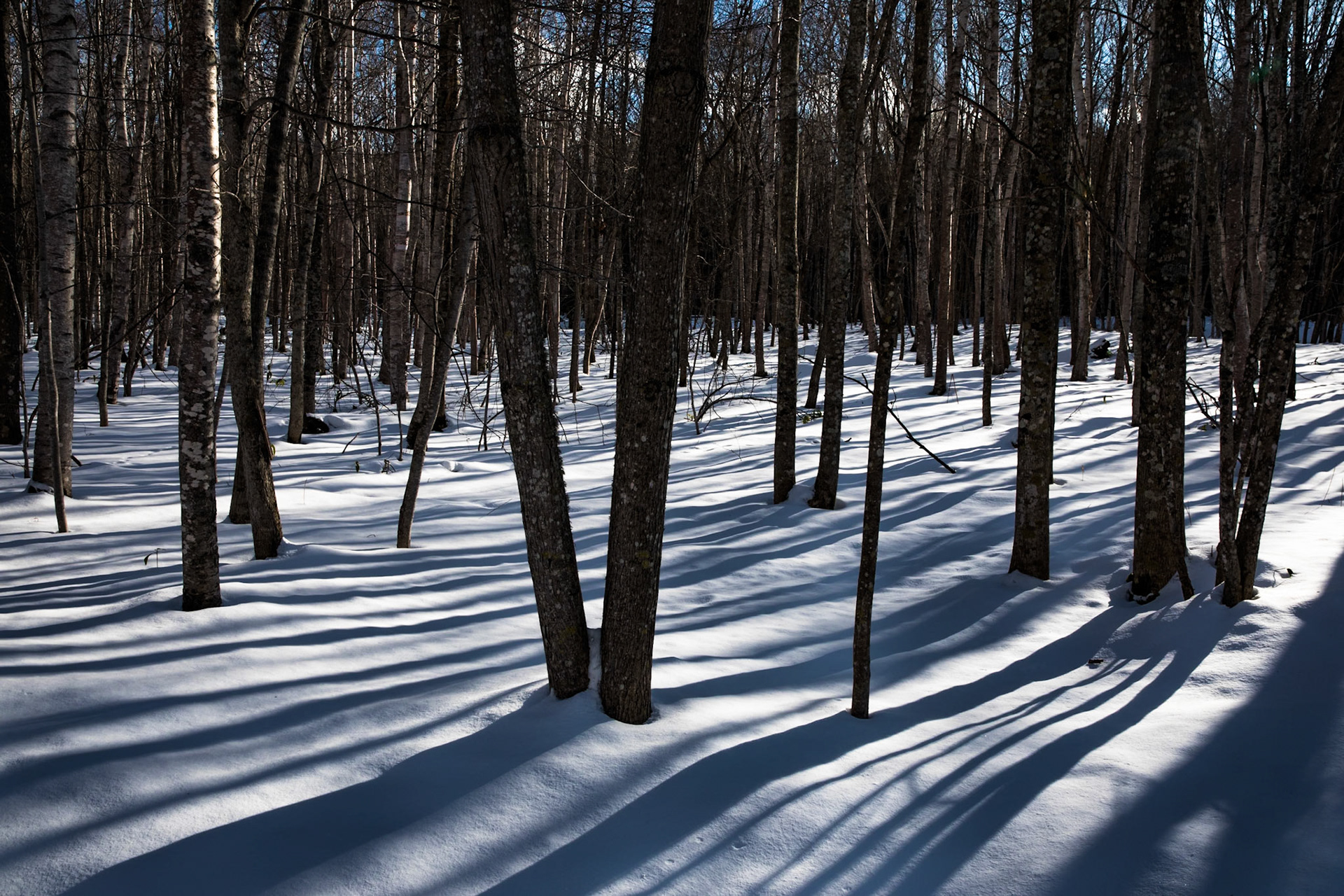 Near Mt Iou, Hokkaido, Japan
