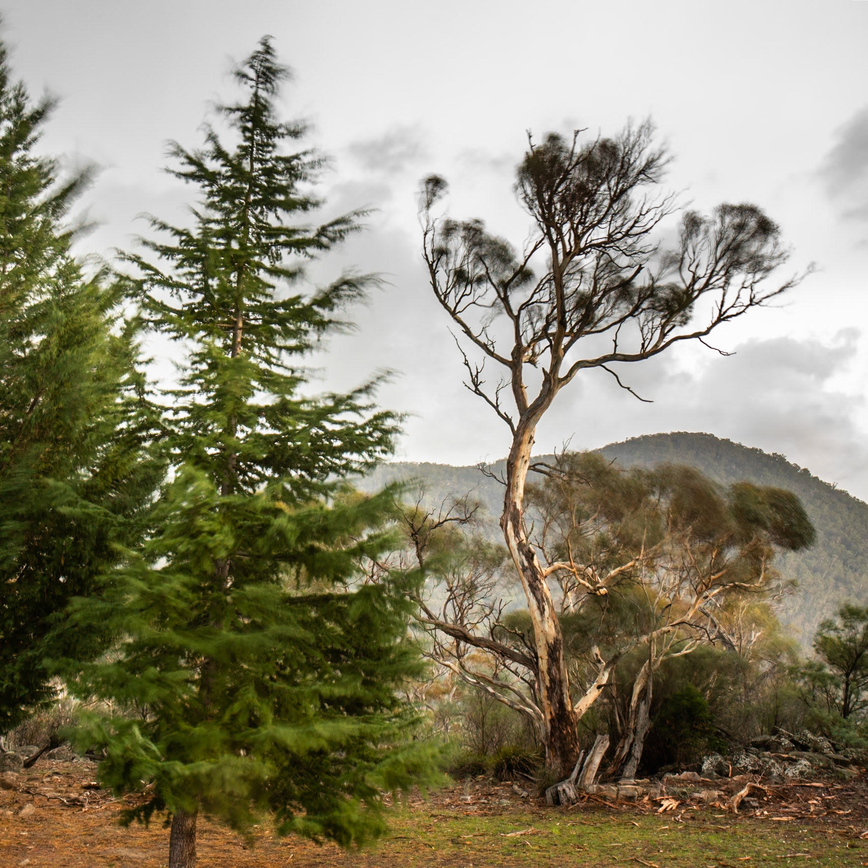 Mount Kosciuszko National Park, Snowy Mountains, New South Wales
