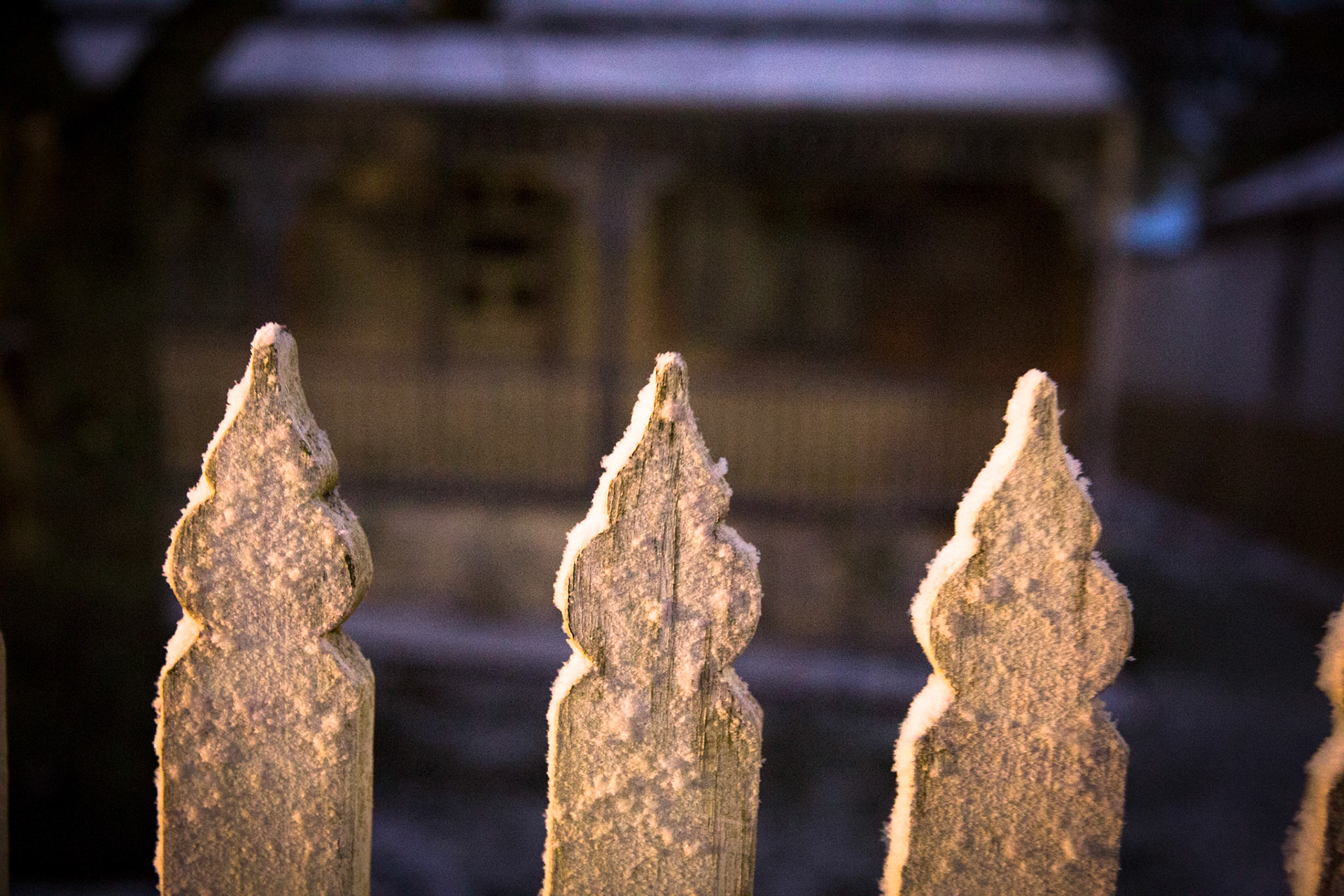 Glenella, Blackheath, Blue Mountains