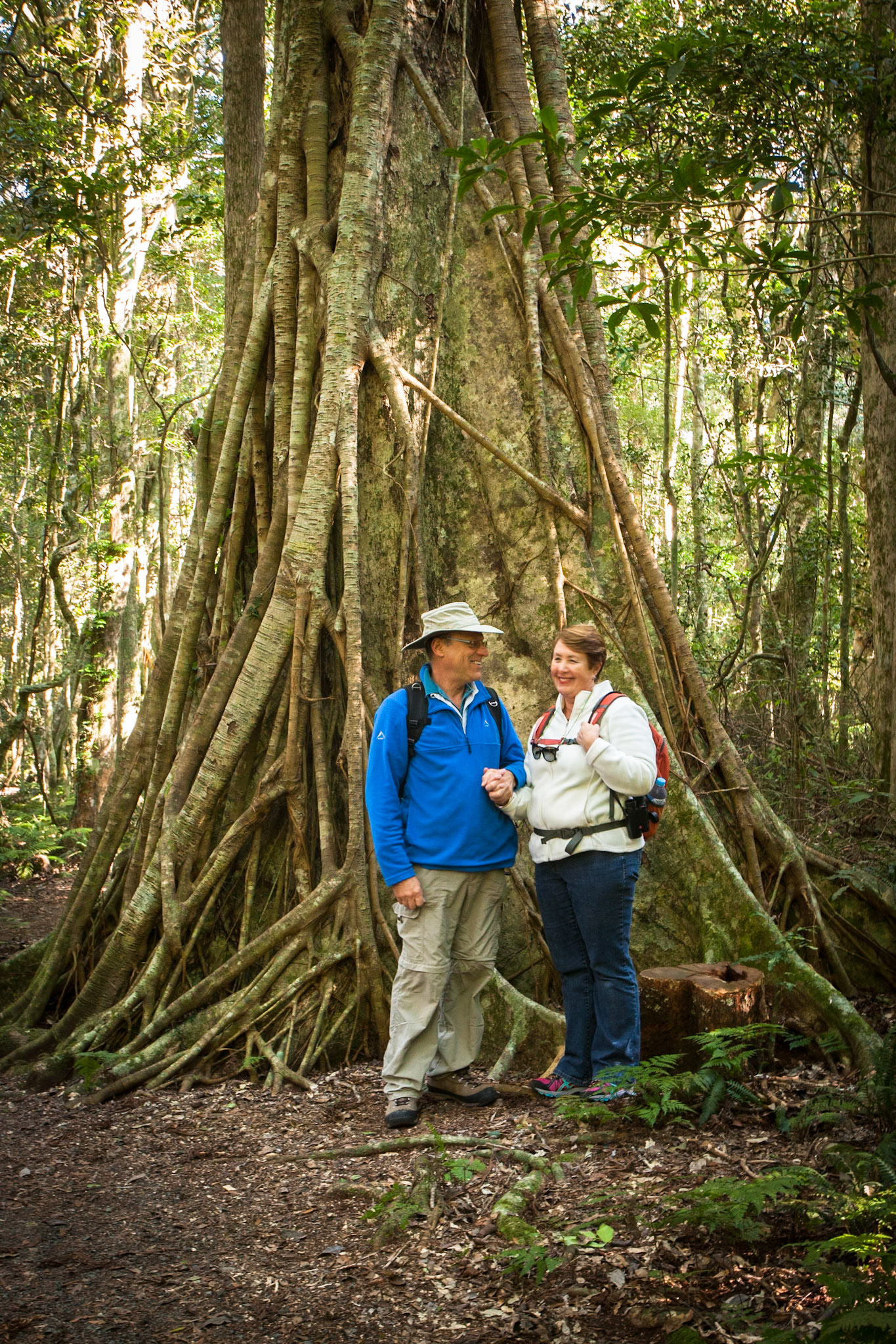 Lamington National Park, Queensland