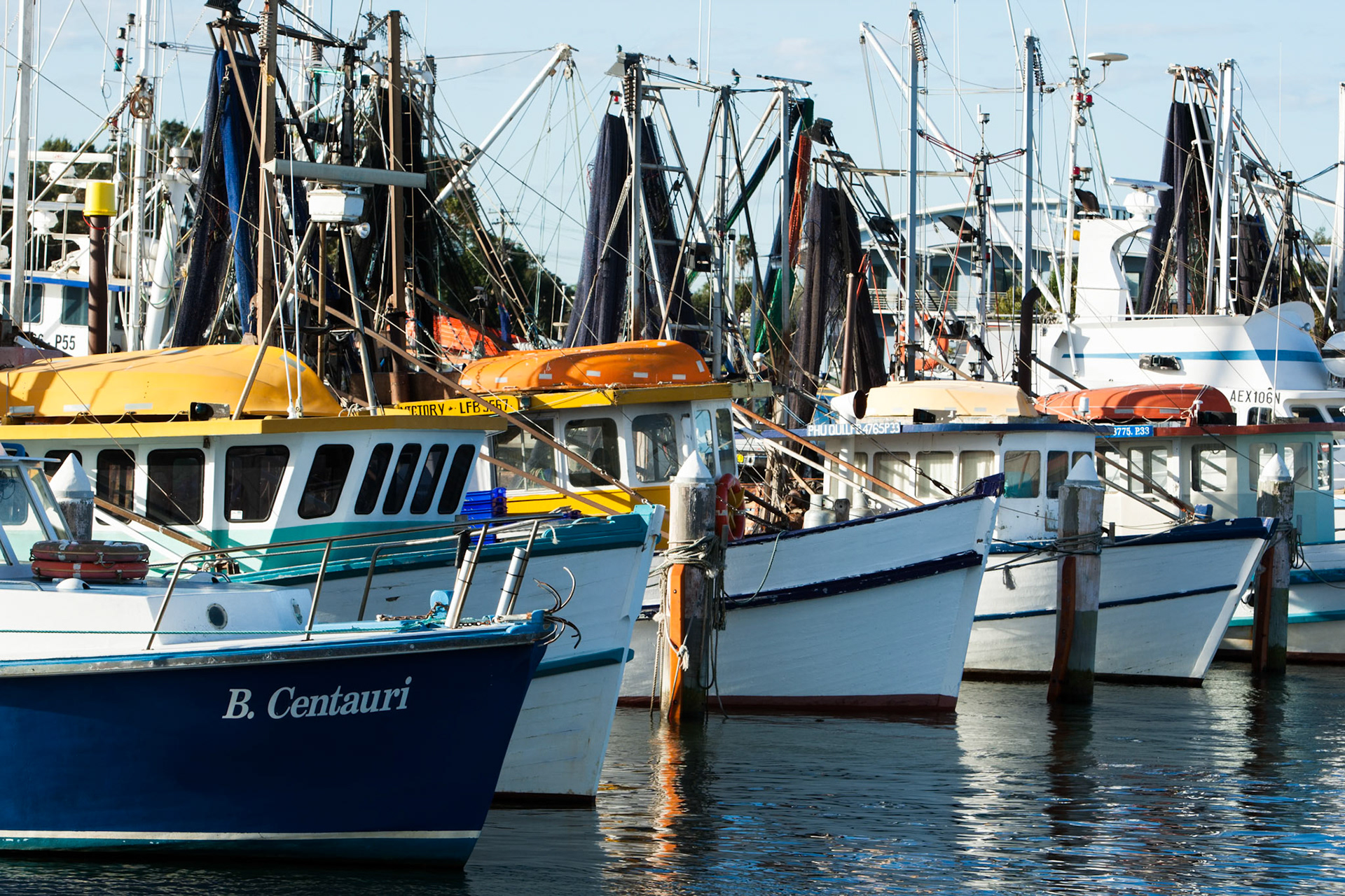 Fishing boats in Throsby Creek, Hunter river, Newcastle