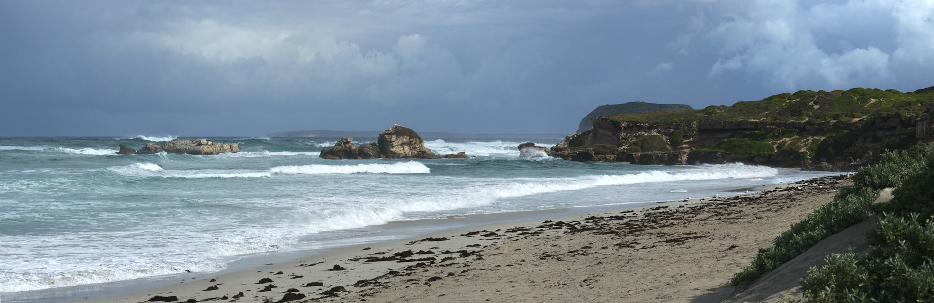 Seal Bay, Kangaroo Island