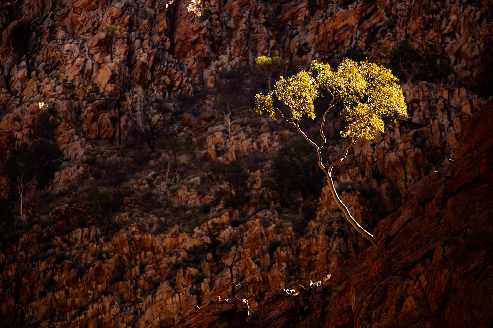 Orniston Pound, Larapinta Trail, Northern Territory, Australia