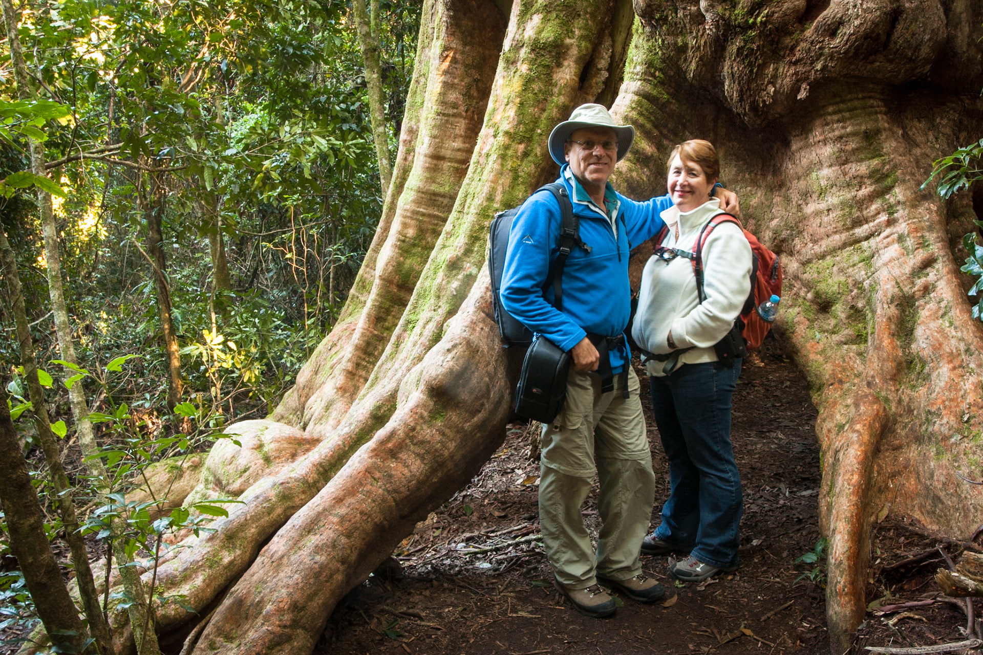 Lamington National Park, Queensland
