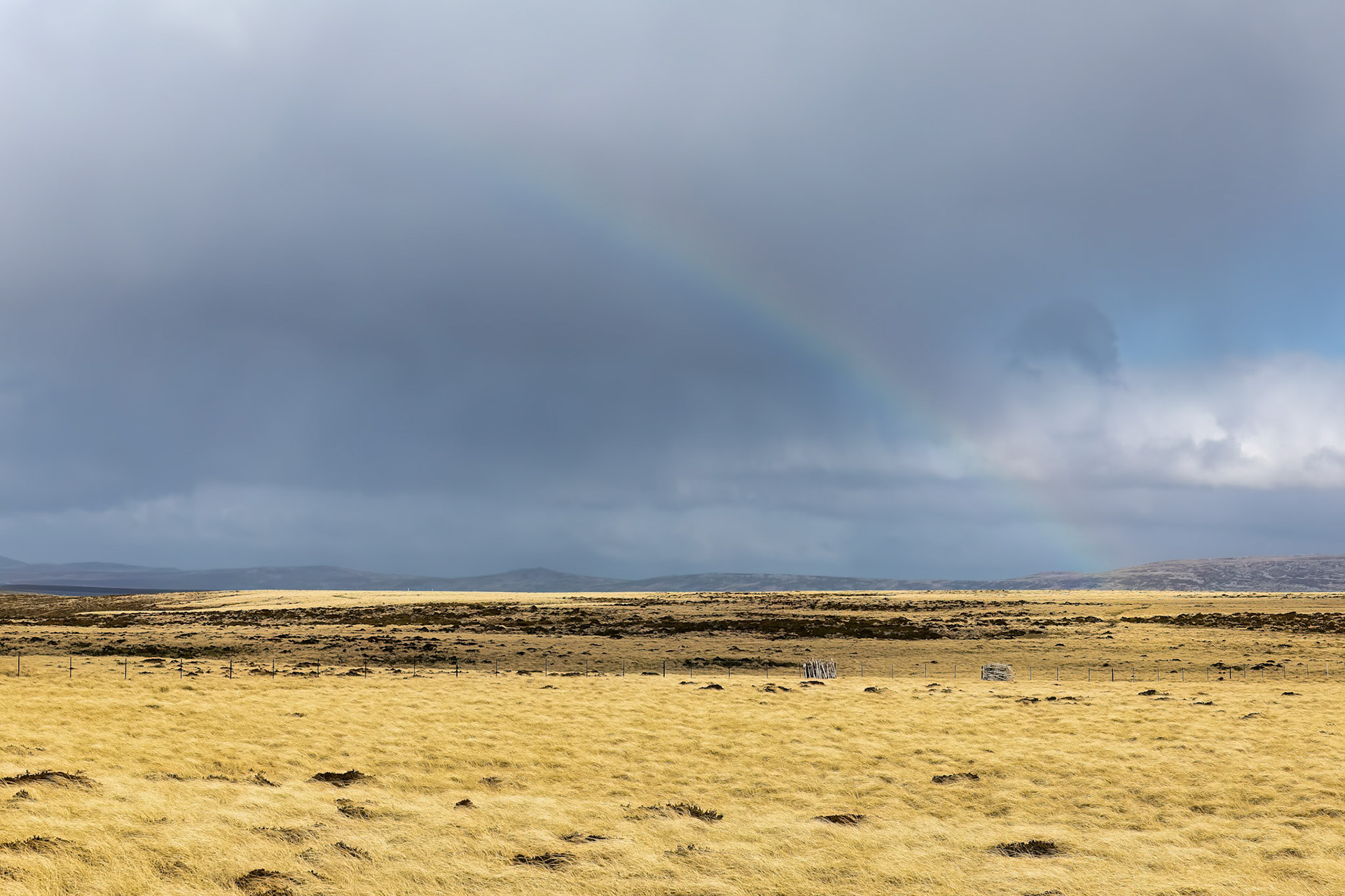 Landscape, Volunteer Point, Stanley, Falkland Islands