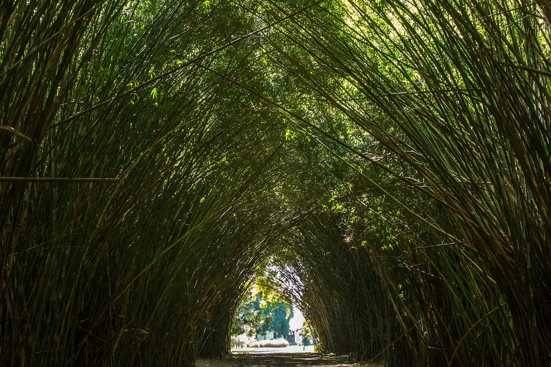 Puerto Valle Esteros, Ibera wetlands, Corrientes, Argentina