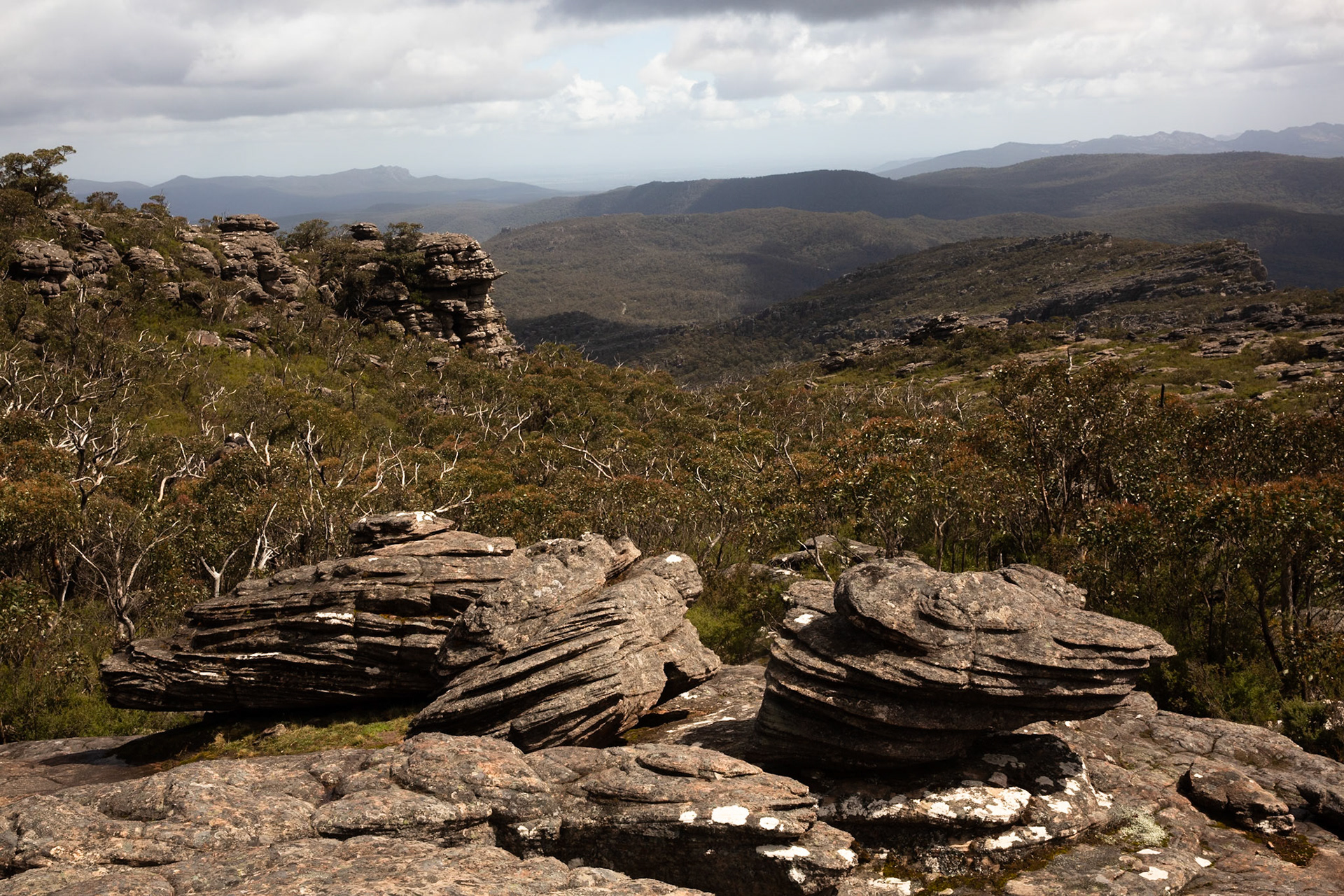 Mt Rosea circuit, Hall's Gap, The Grampians, Victoria