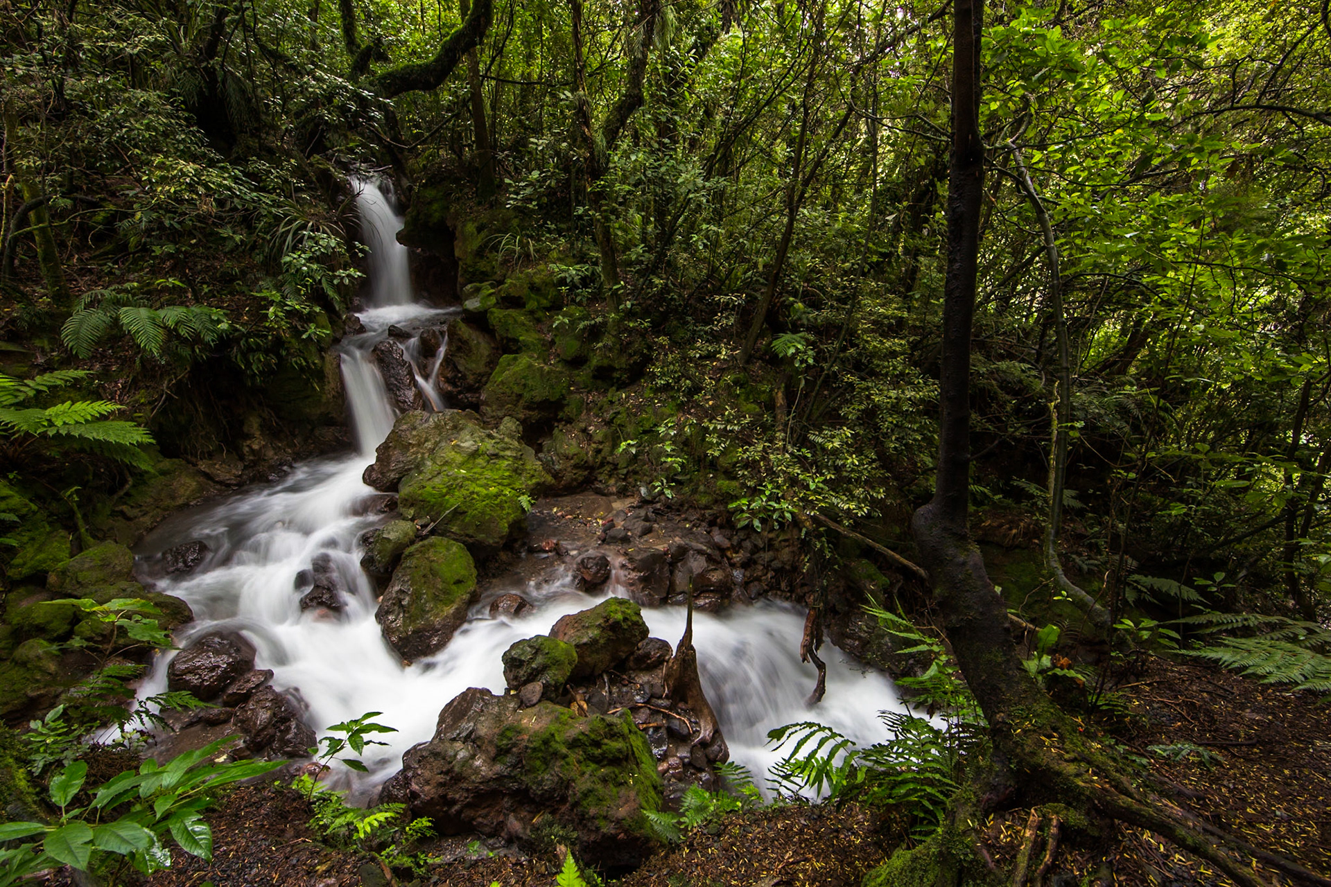 Tongariro Alpine Crossing, New Zealand