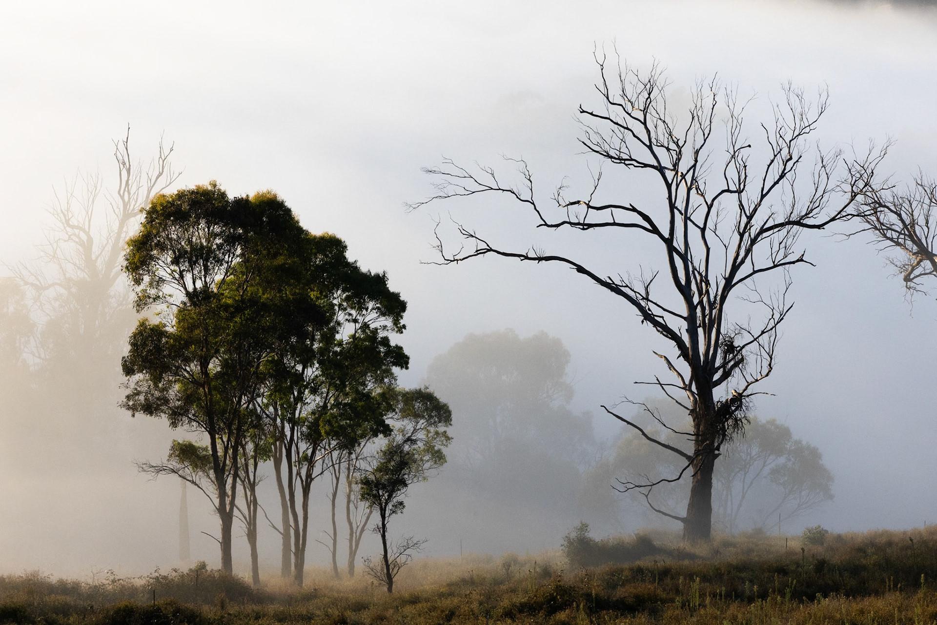 Turon Gates, New South Wales