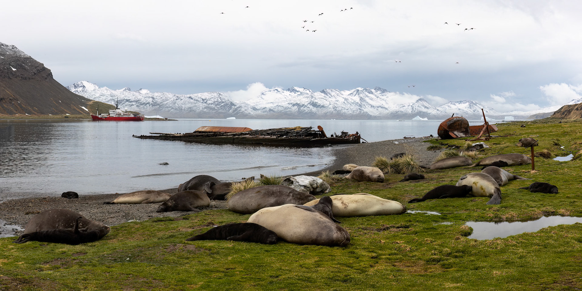 Grytviken, South Georgia