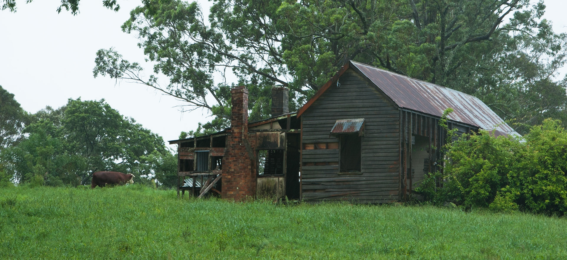 Abandoned shed, near Barrington Tops National Park, New South Wales