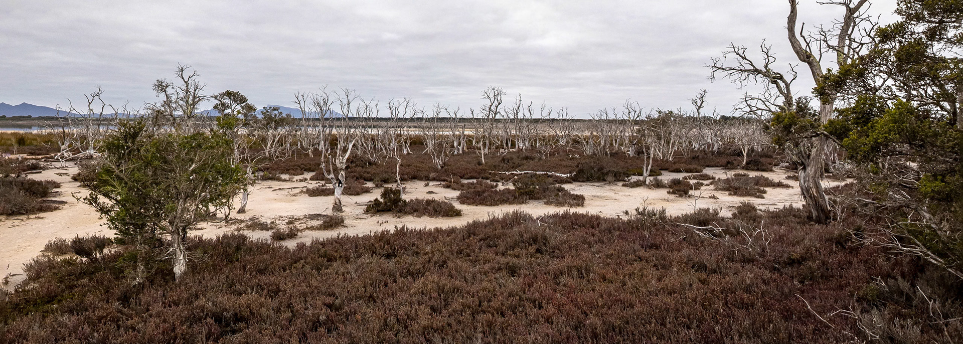 Stirling Ranges, West Australia