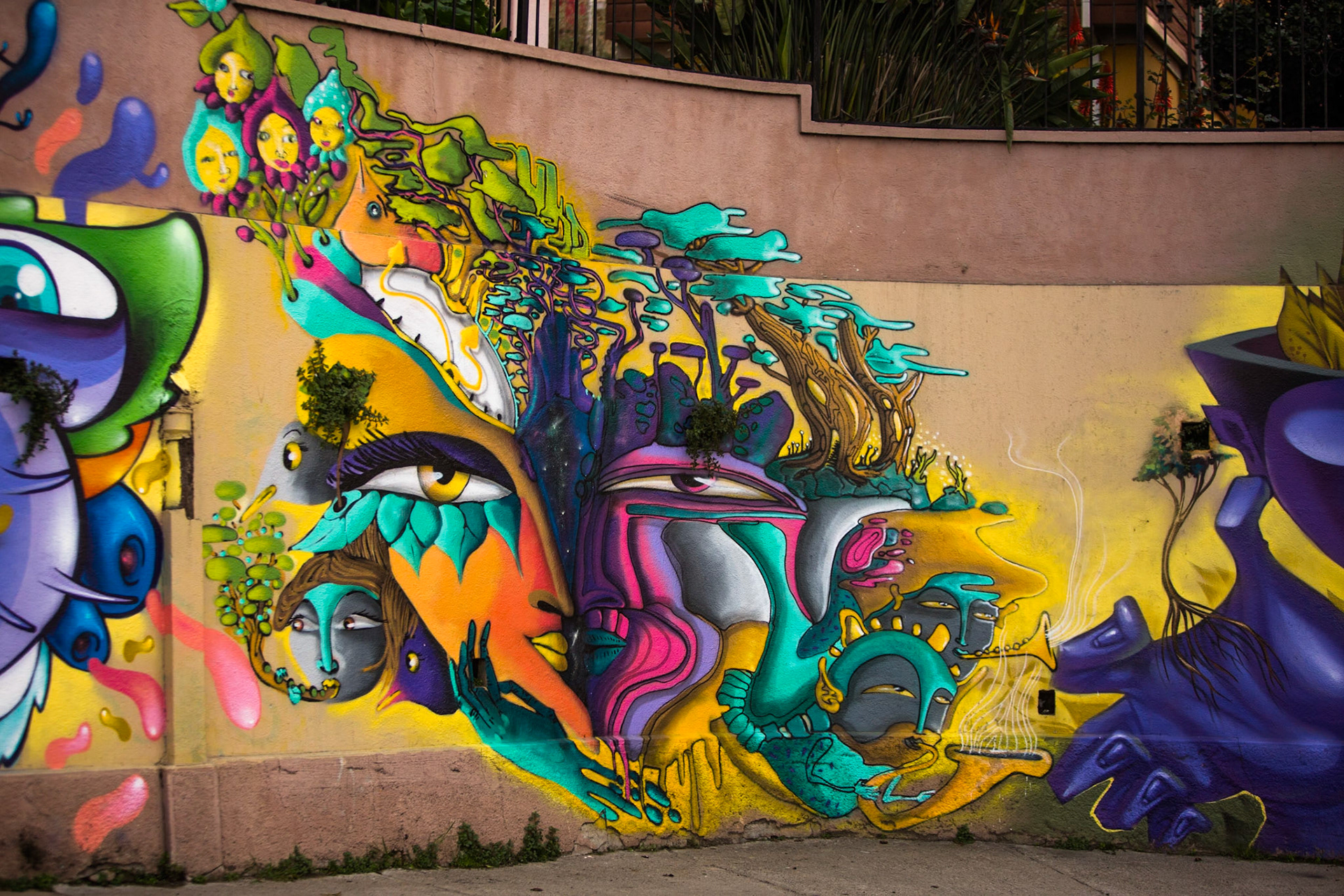 Street art, Valparaiso, Chile