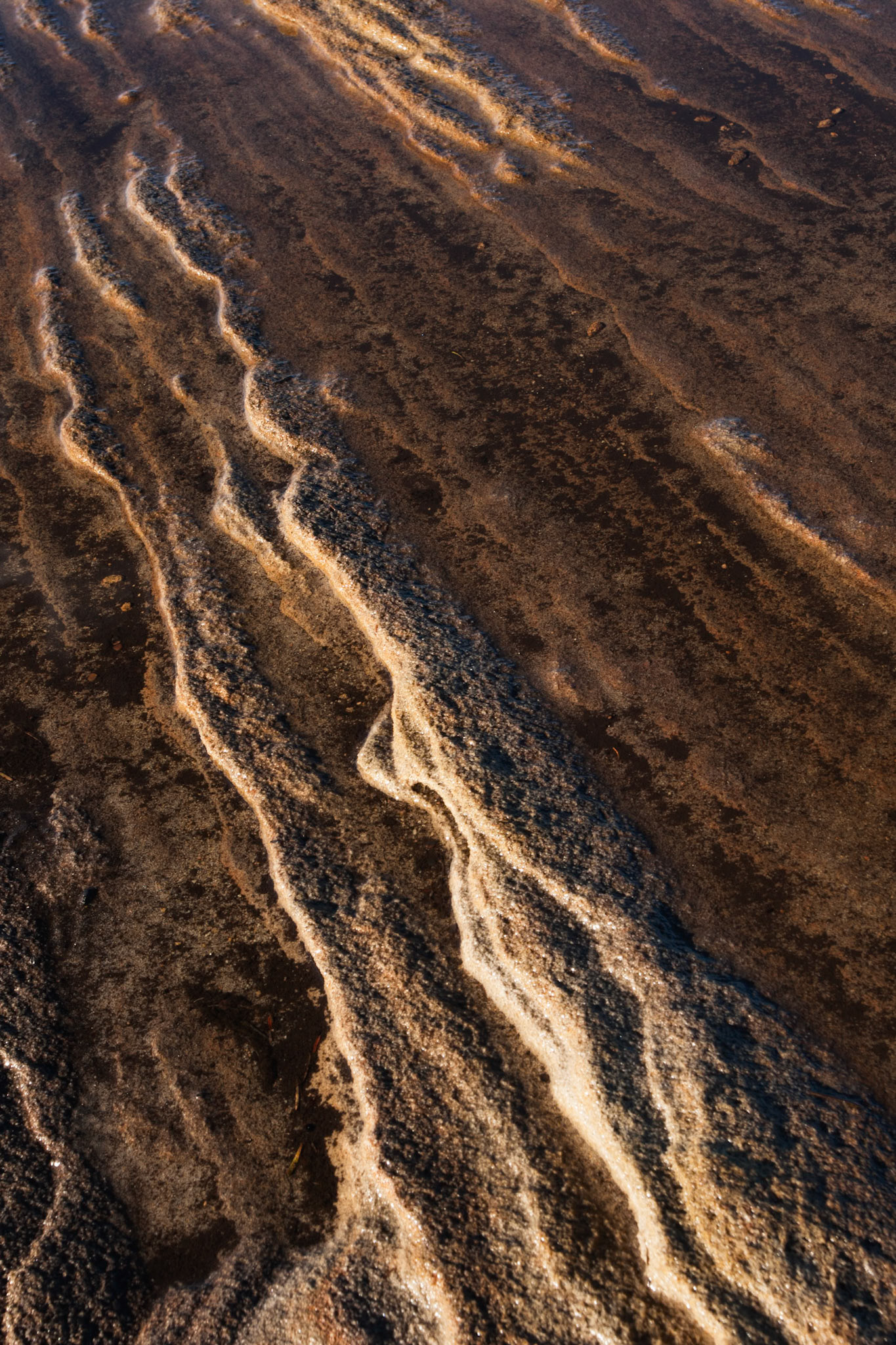 Weathering patterns in the rocks, Cape Solander, Kamay Botany Bay National Park