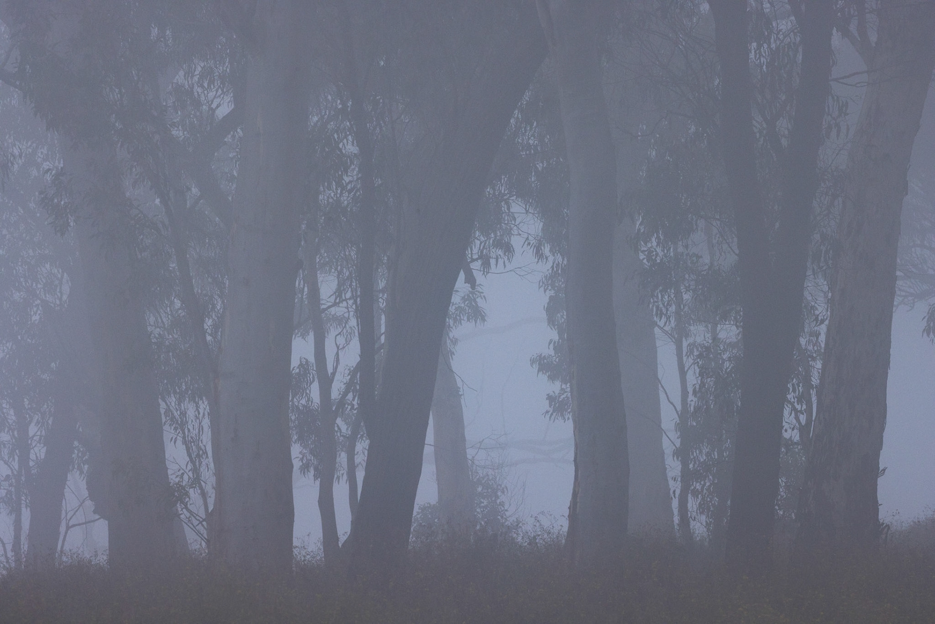 Turon Gates, New South Wales