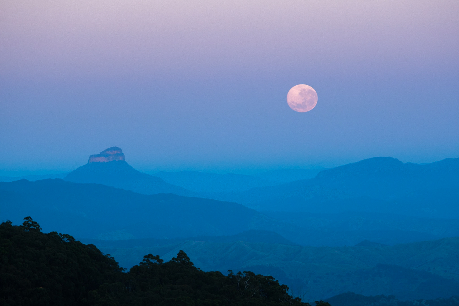 Lamington National Park, Queensland