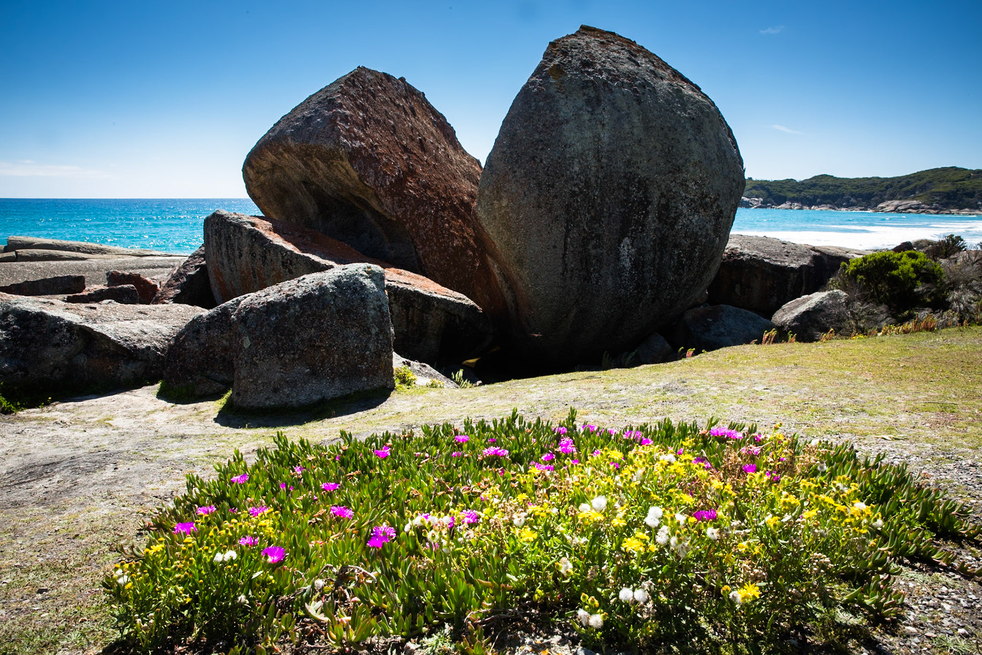 Tuesday am - Darby Saddle via Sparkes Lookout and Lookout Rocks to Tongue Point; and then on to Darby River for lunch.Tuesday pm - Lilly Pilly Gully carpark up to Tidal Overlook and on to Pillar Point then via Squeaky Beach and Picnic Beach to Picnic Beach carpark.