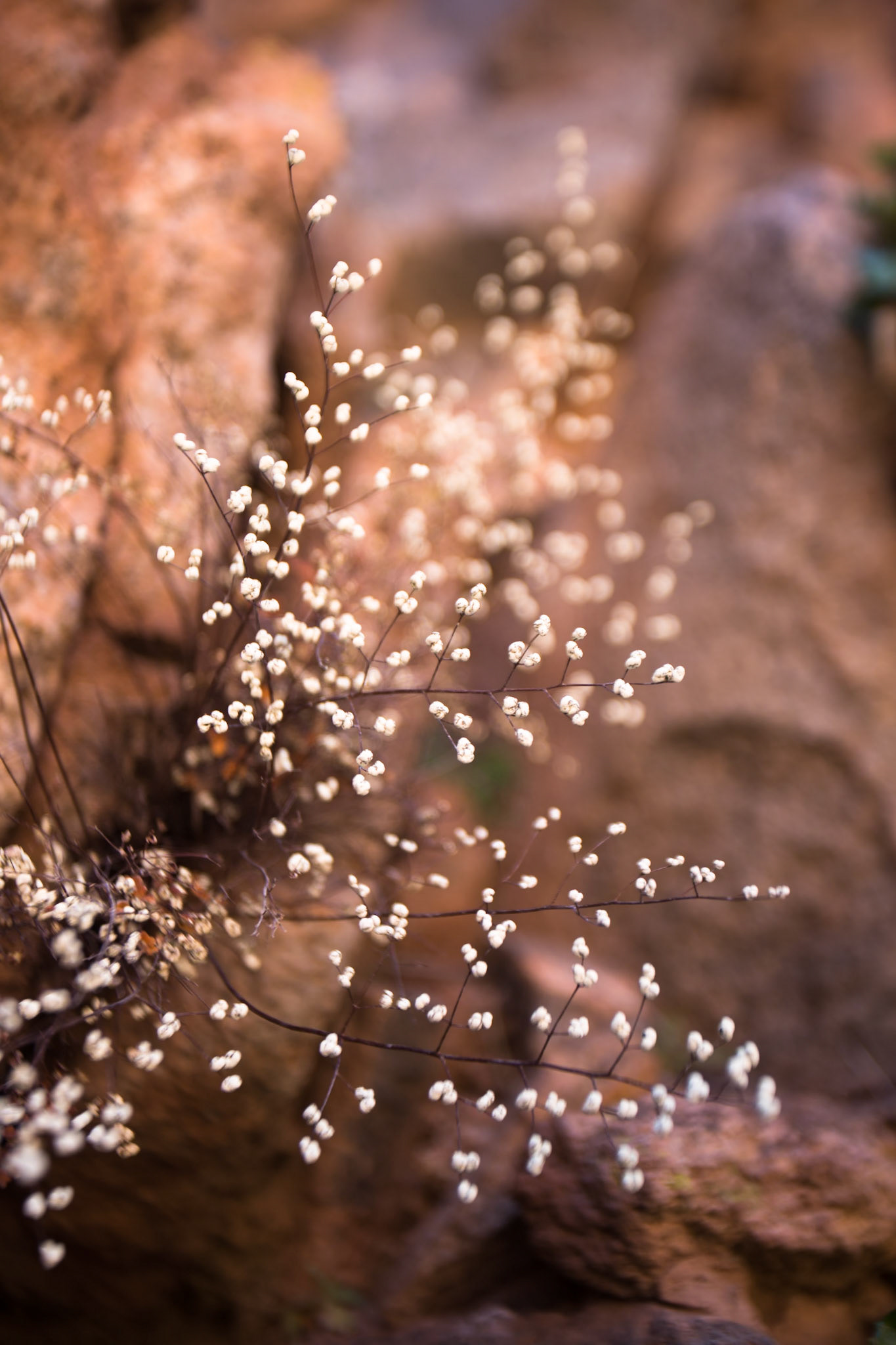 Puritama hot springs, Atacama, Chile