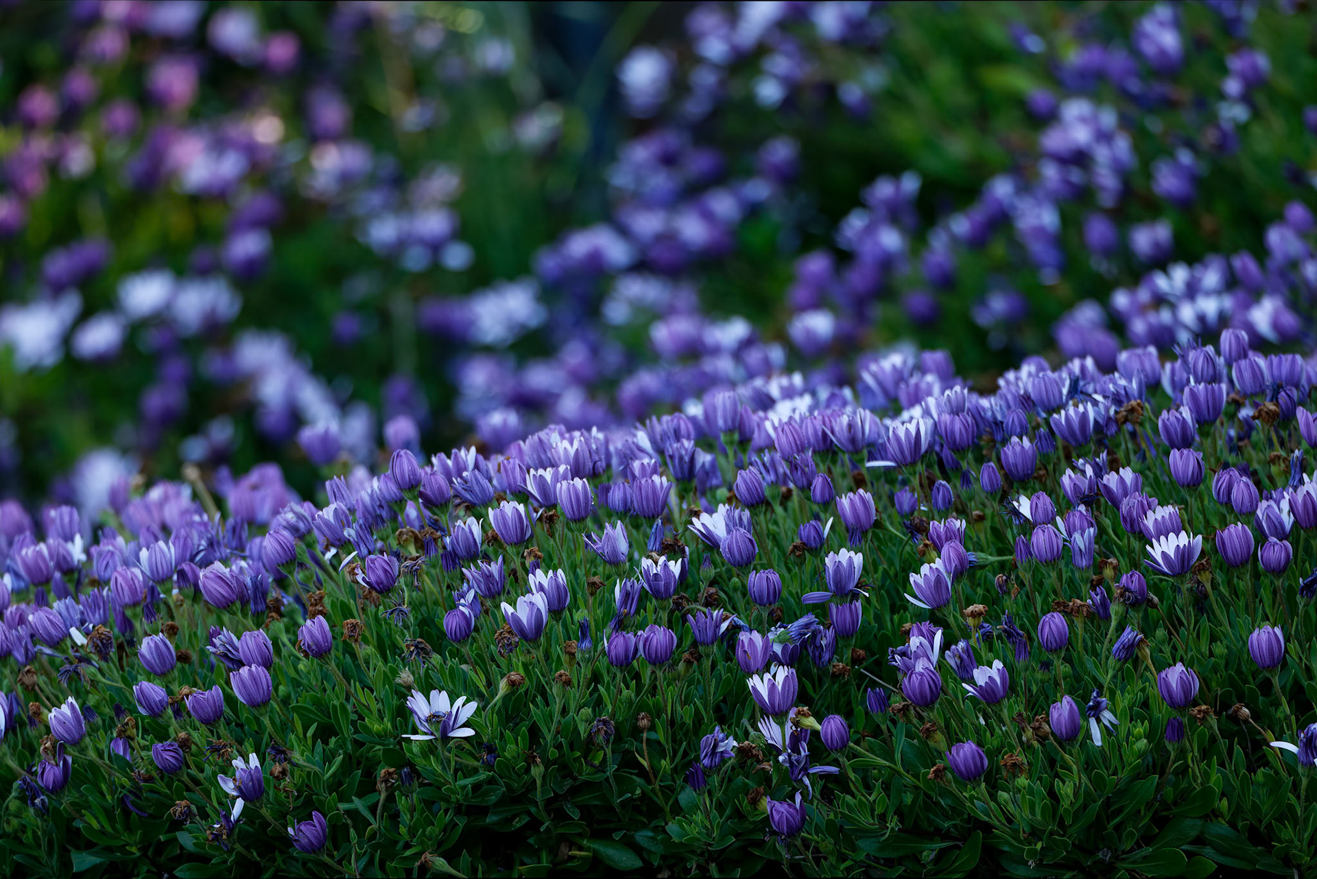 Landscape, Kingston beach, Hobart, Tasmania, Australia