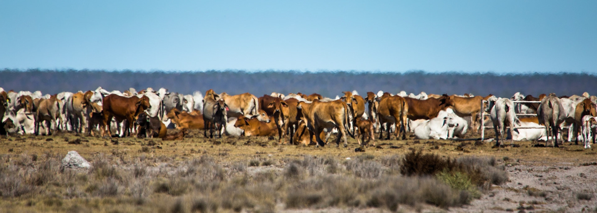 Broome, West Australia