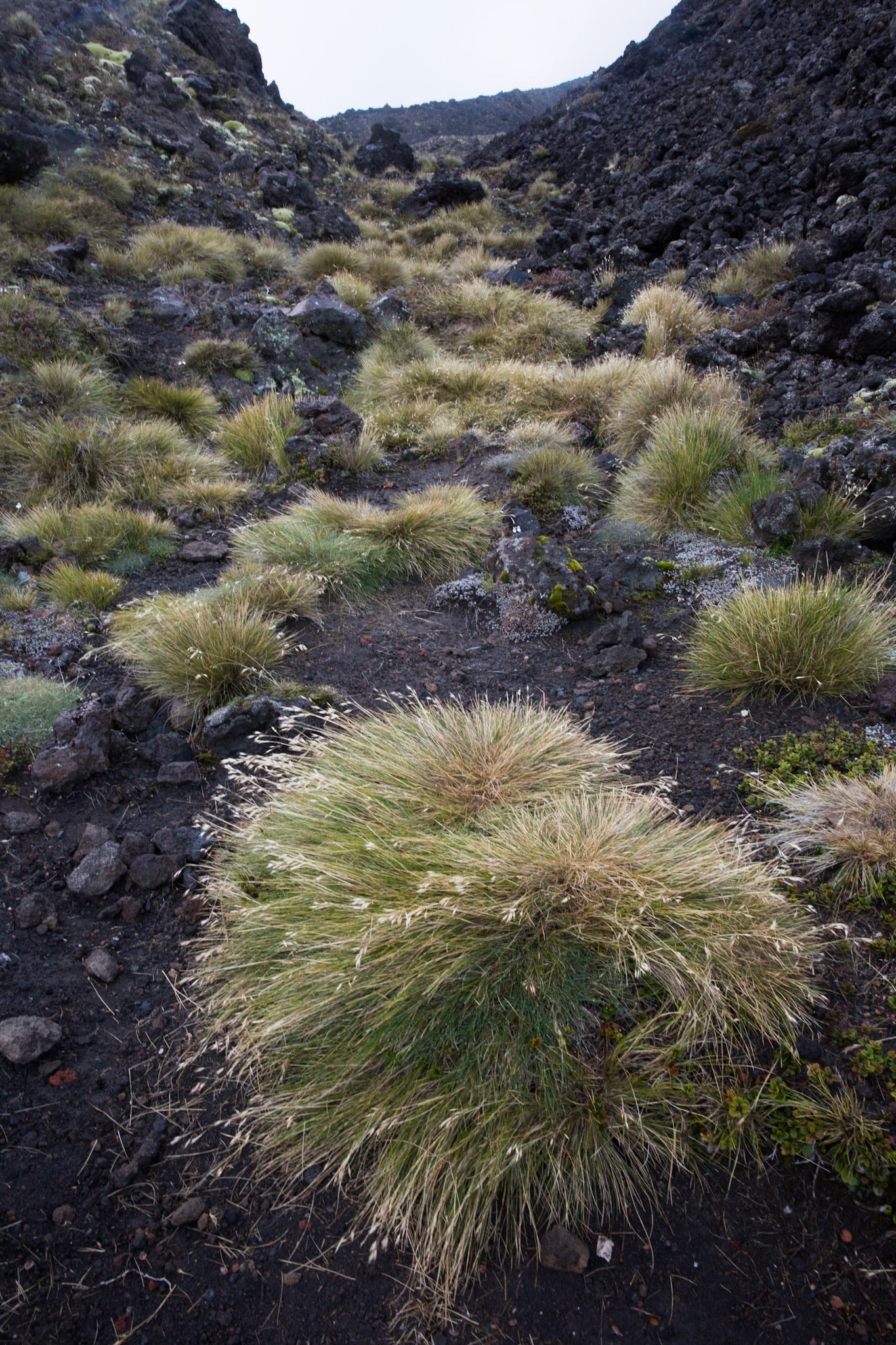Tongariro Alpine Crossing, New Zealand