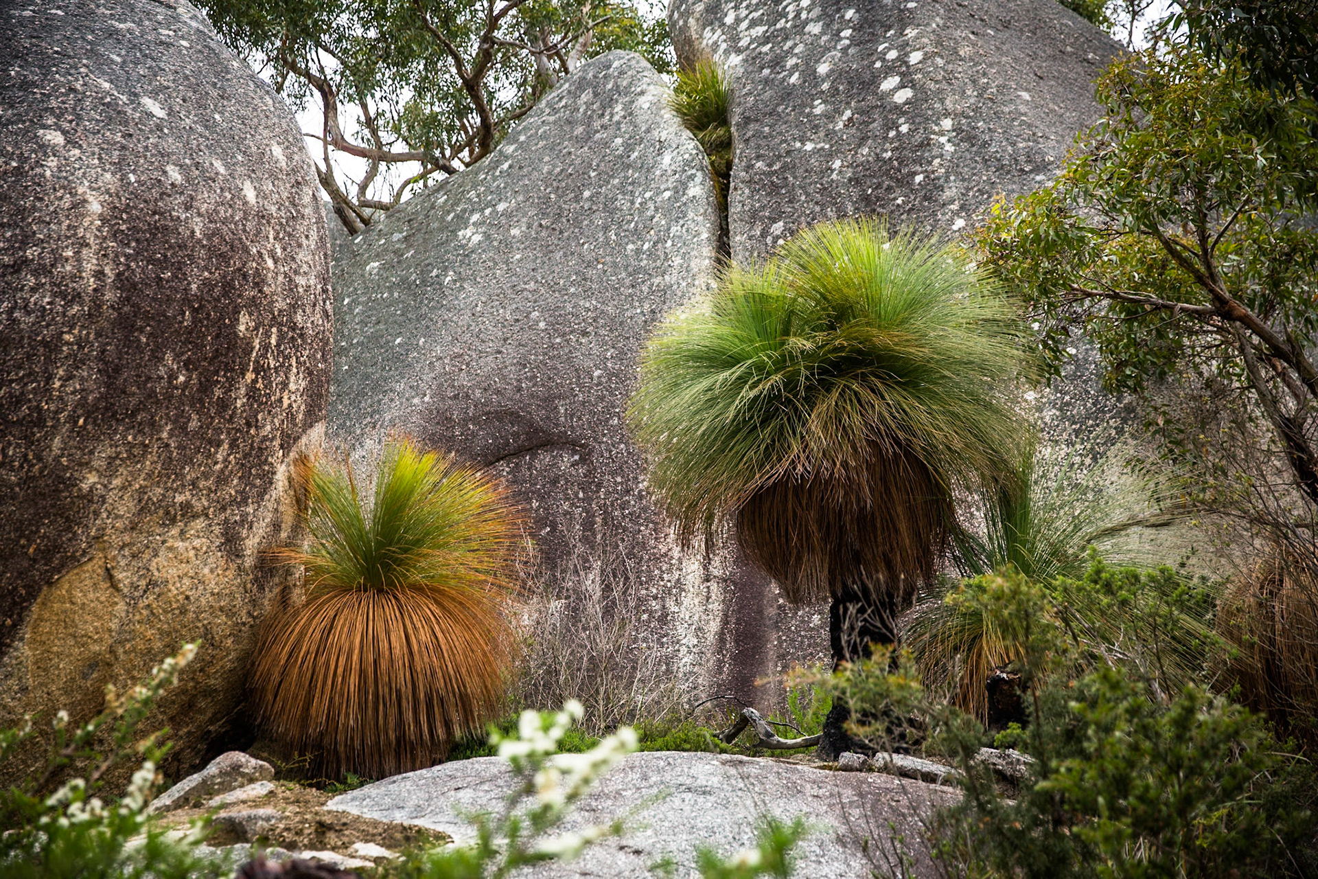 Five Mile carpark to Vereker Outlook (and return)
