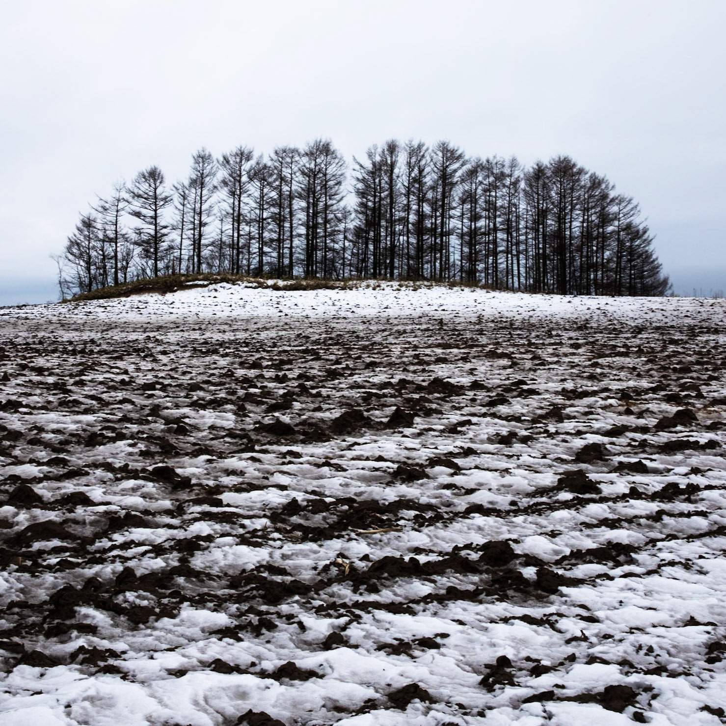 Near Setsuri river, Hokkaido, Japan