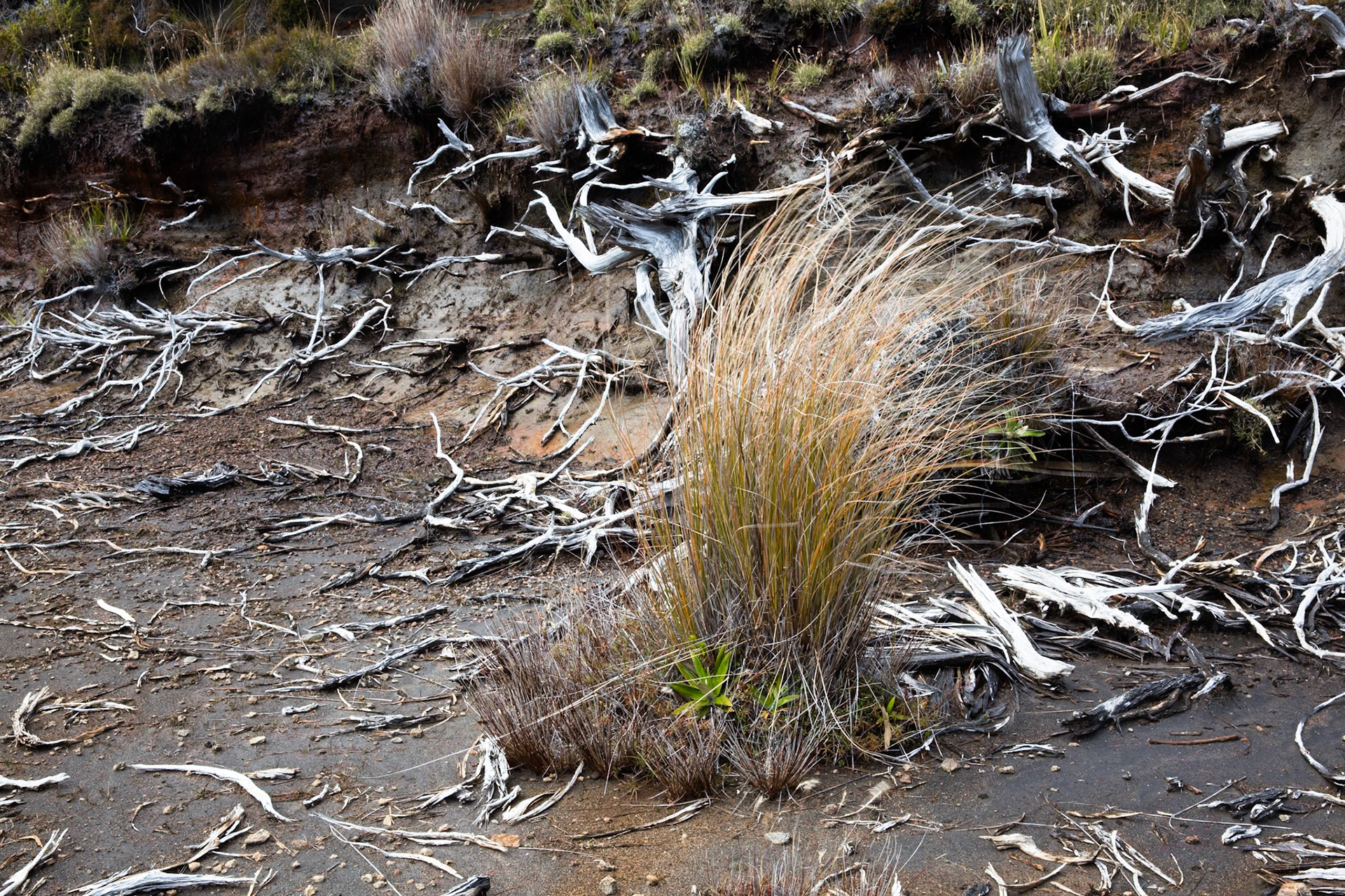 Waihohonu to Whakapapa village, Tongariro, New Zealand