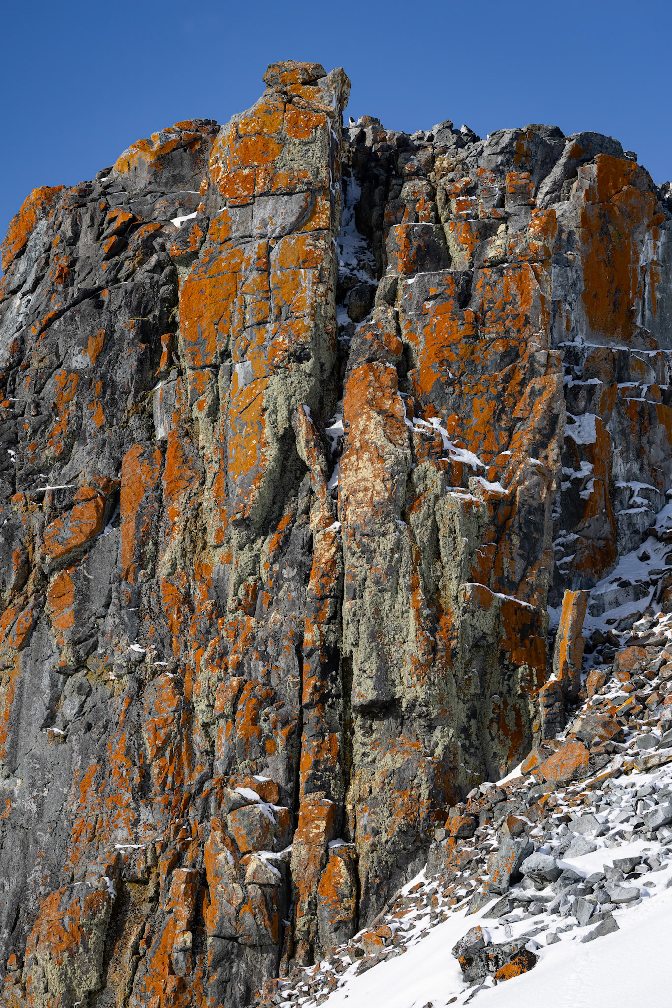 Half-moon Island, Shetland Islands, Antarctica