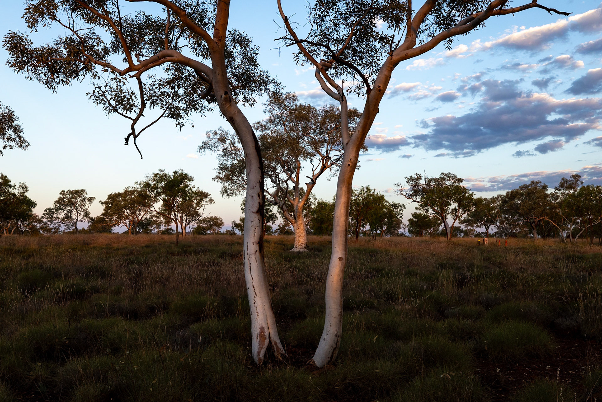 Karijini National Park, Western Australia