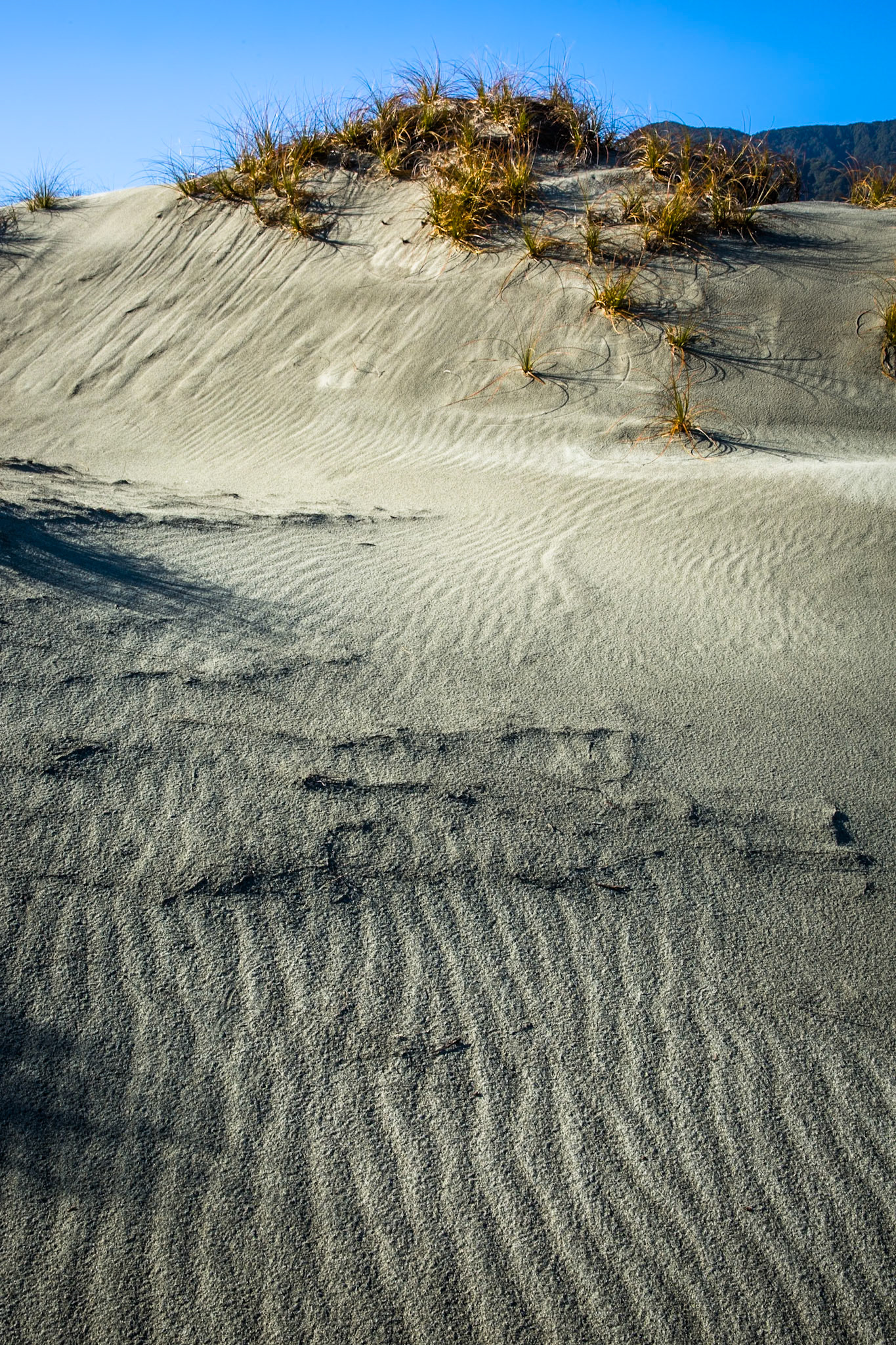 Hollyford Track, Martin's Bay, New Zealand