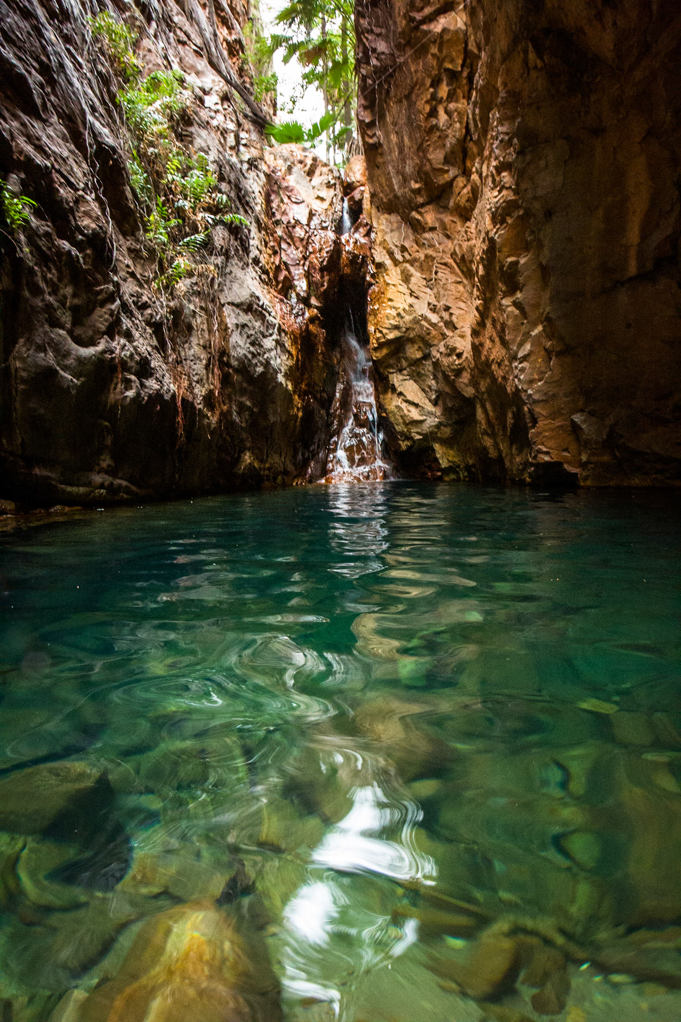 El Questro Gorge, El Questro Wilderness Park, The Kimberly, Western Australia