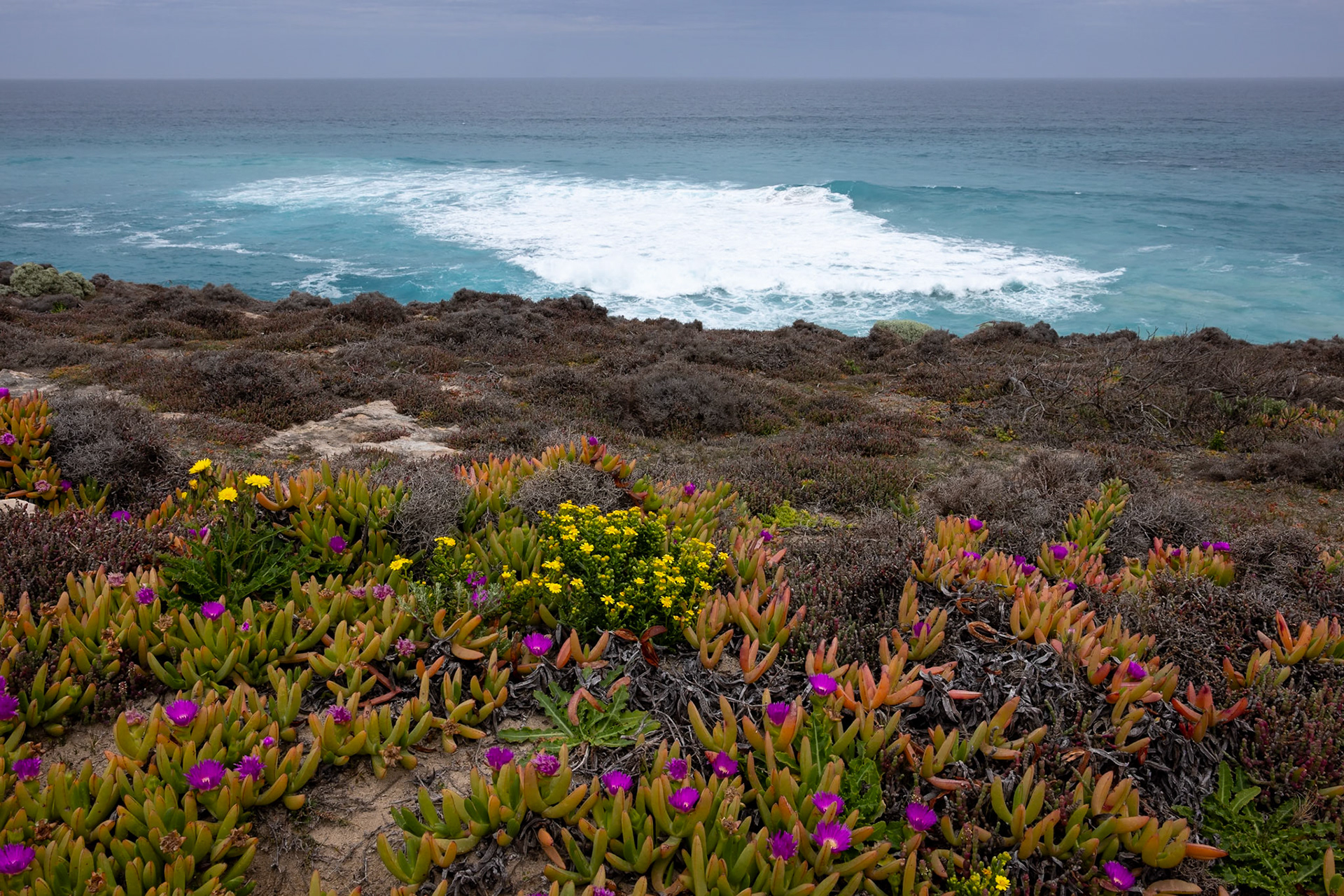 Kangaroo Island, South Australia