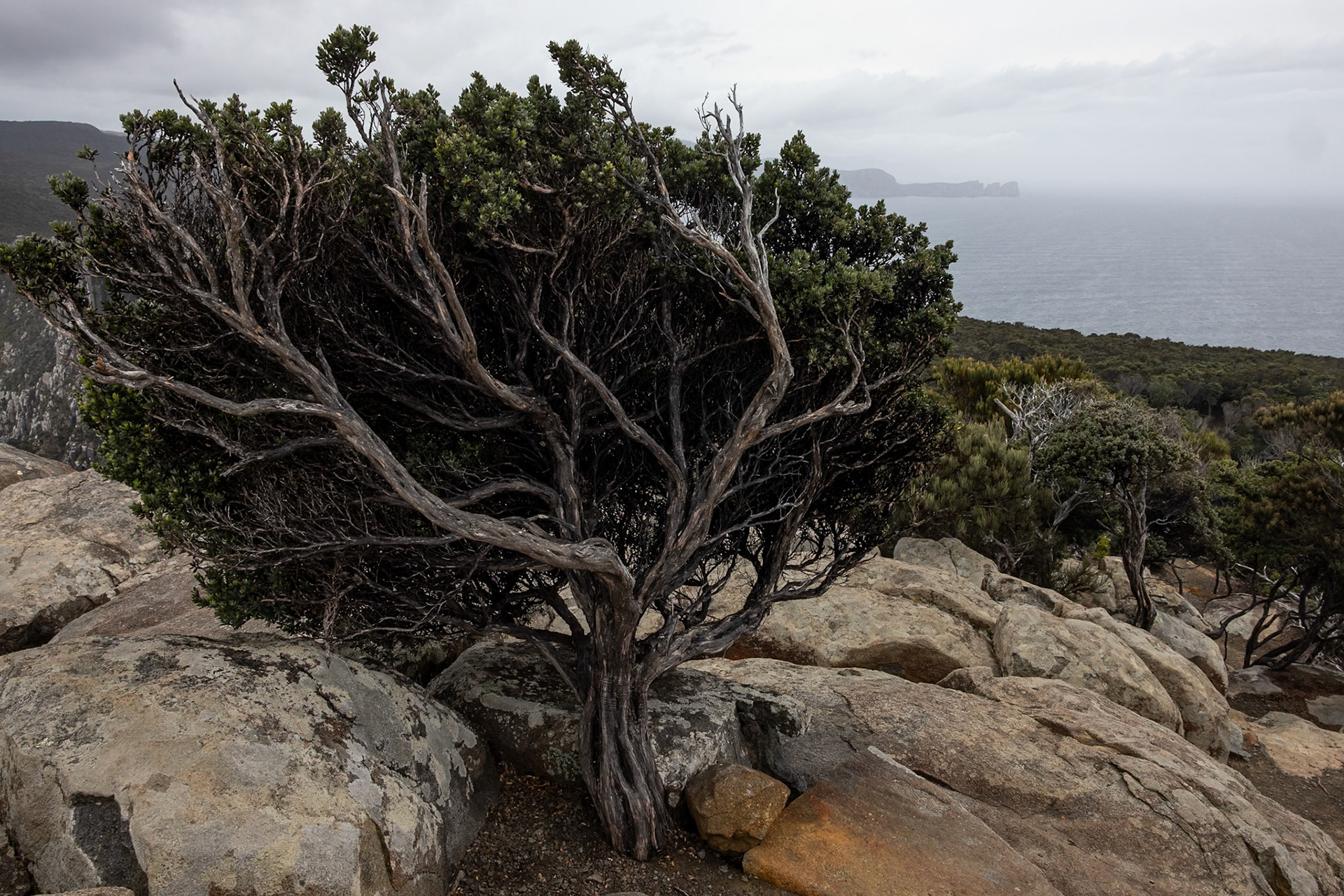 Three Capes Track, Cape Pillar Lodge to Cape Pillar and return, Tasmania