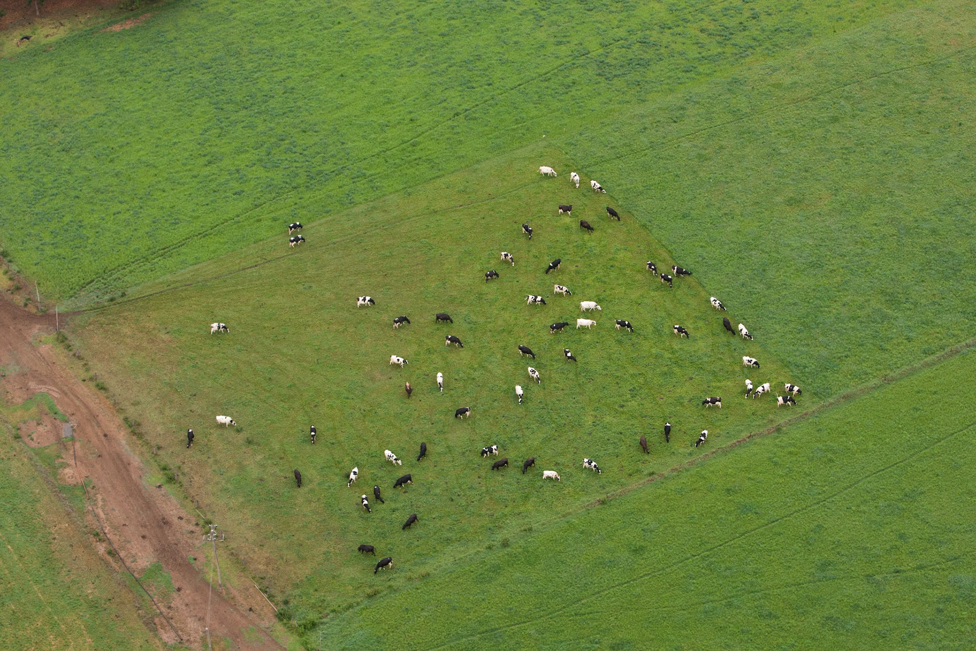 Hot air balloon ride in the Hunter Valley, New South Wales.