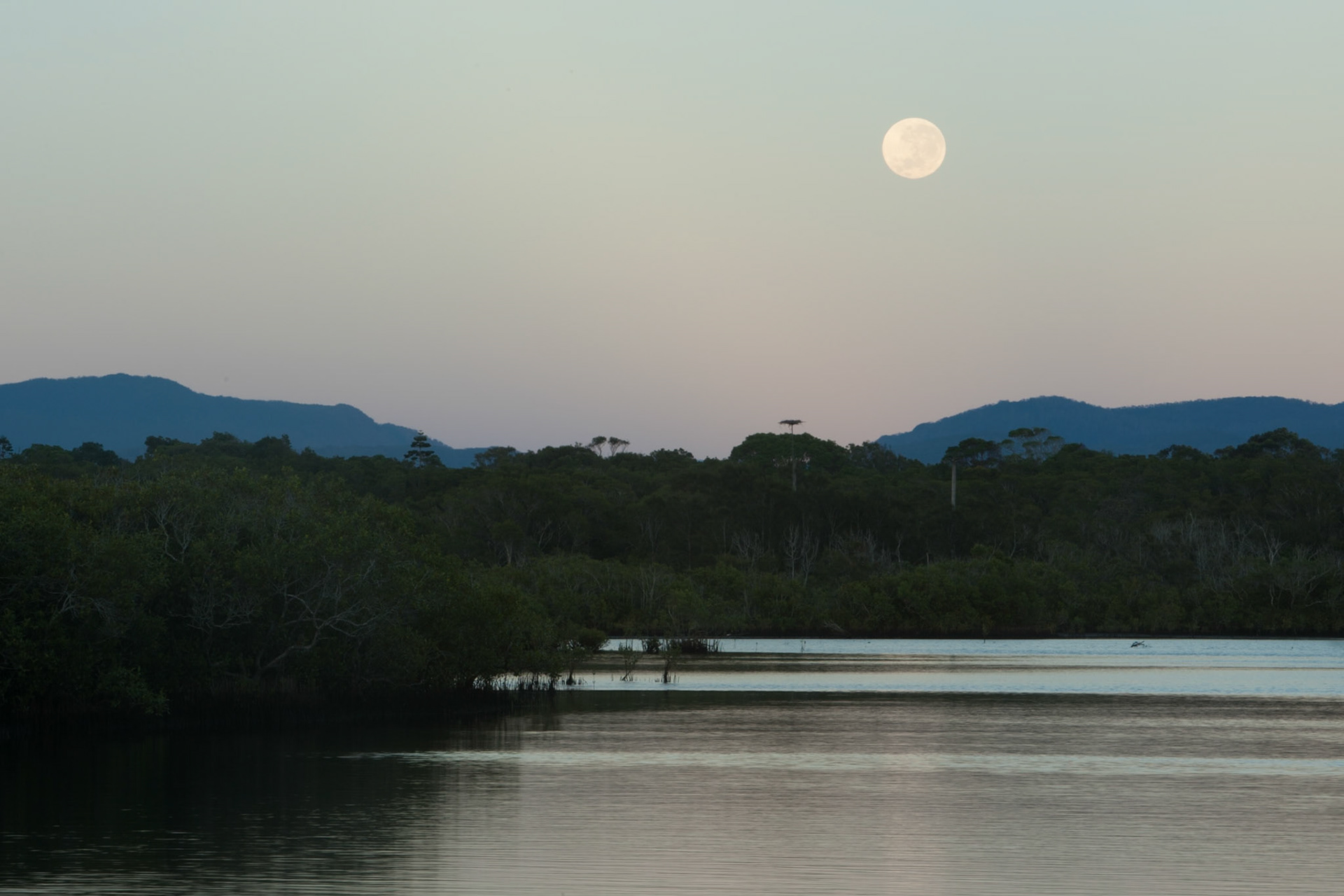 Moon setting over Belongil creek, Byron Bay